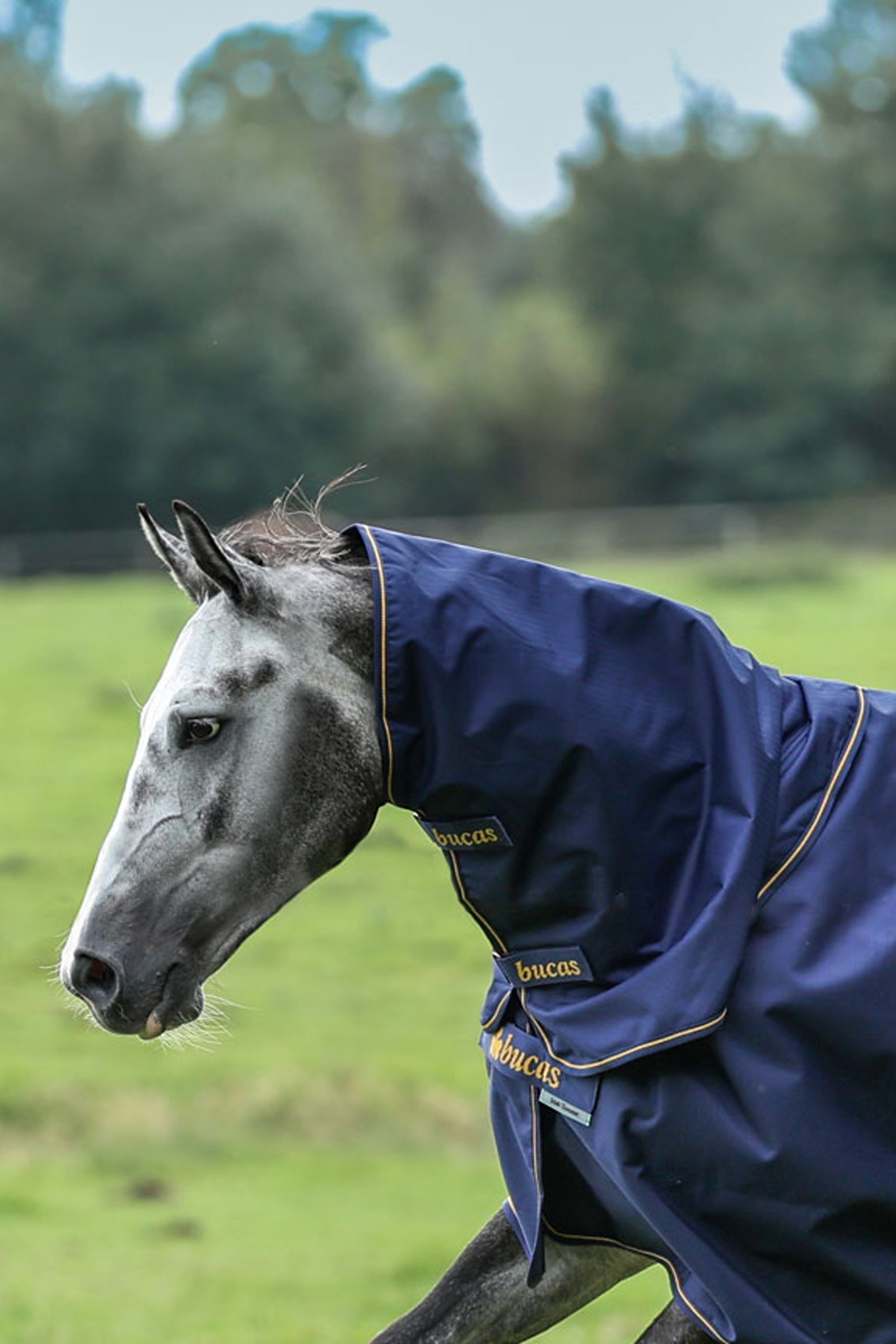 Bucas Irish Turnout cubre cuello, 0g Mantas Caballo