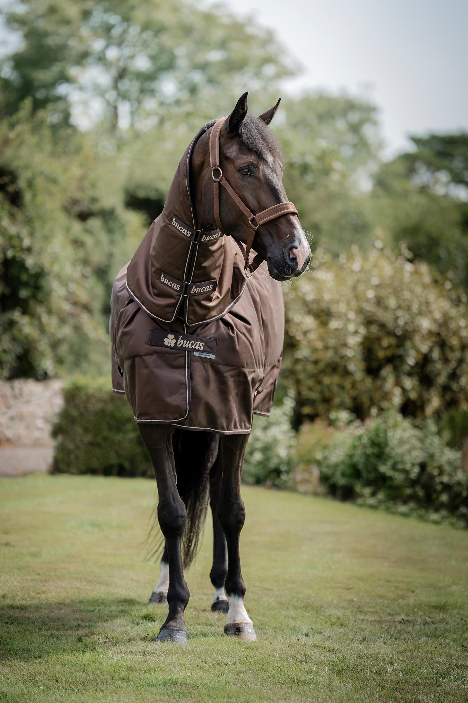 Bucas Irish Turnout Neck Piece, 0g Horse Rugs