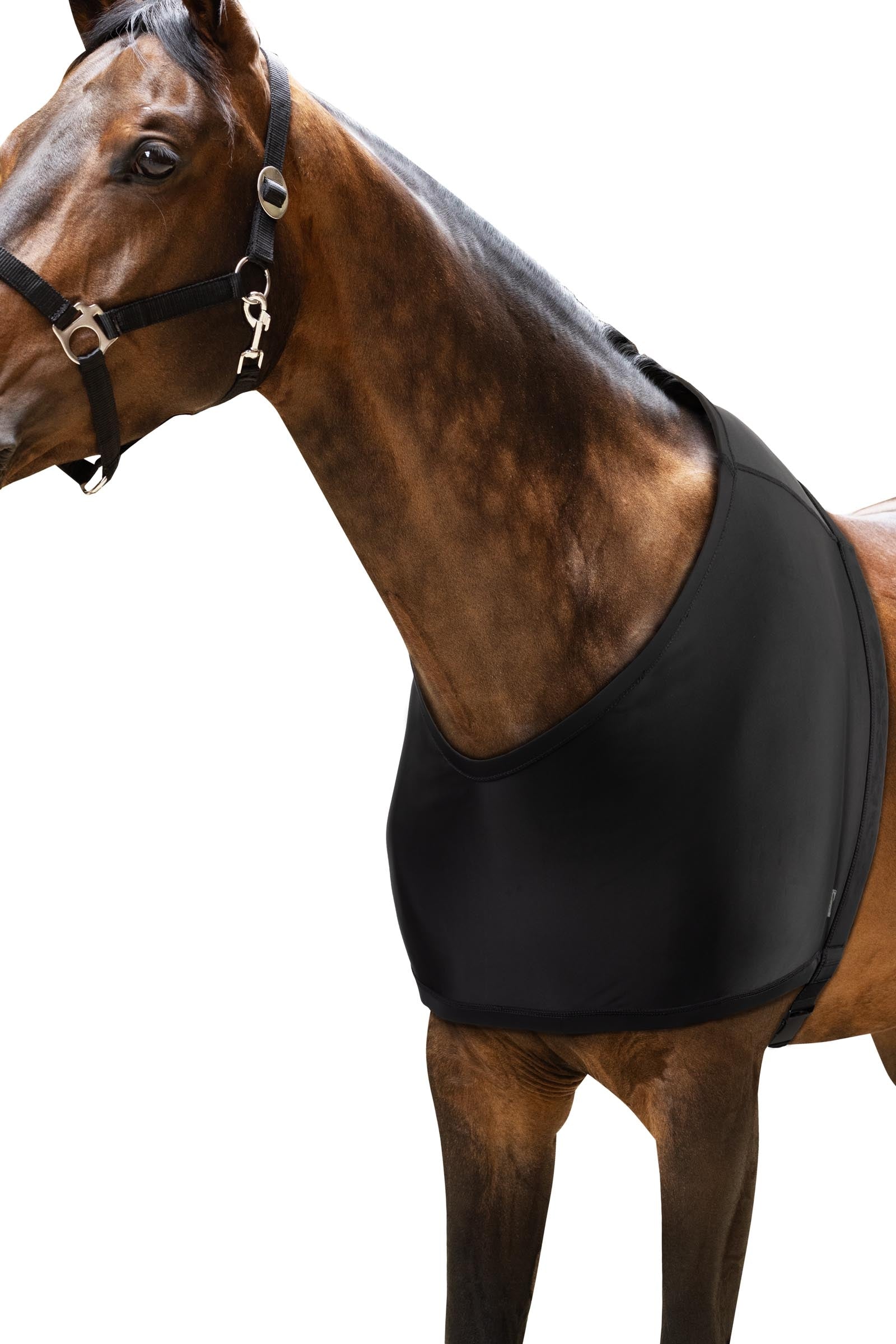 Horze ComForce Shoulder Guard Horse Rugs