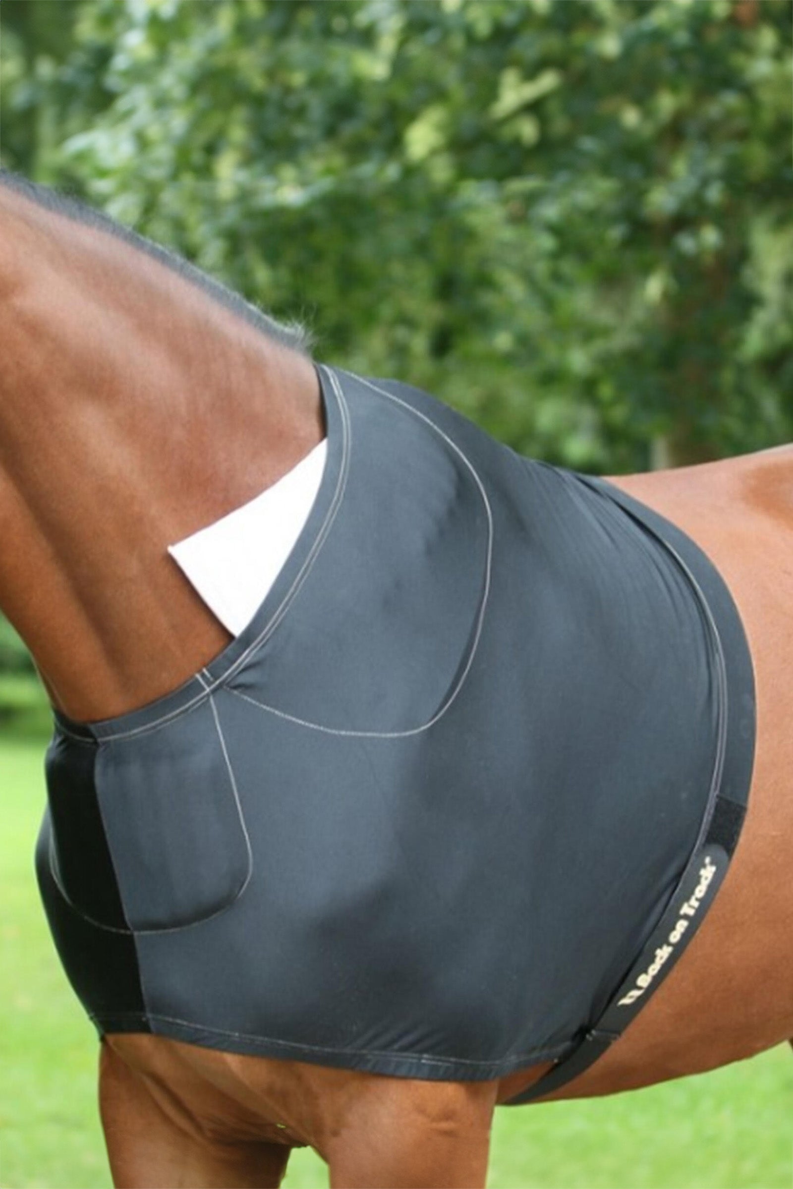 Back on Track Protector de Hombro Back on Track Mantas Caballo