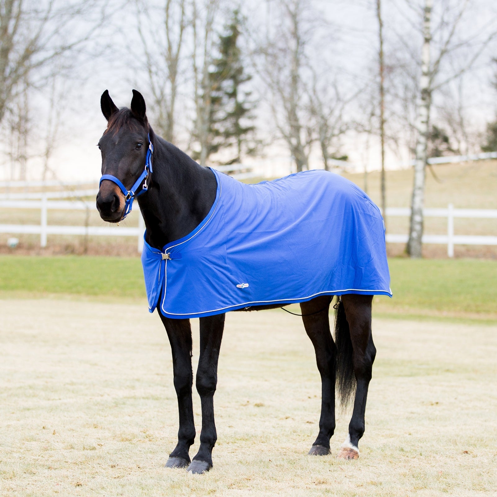 Finntack Pro Pritex Summer Rug Horse Rugs