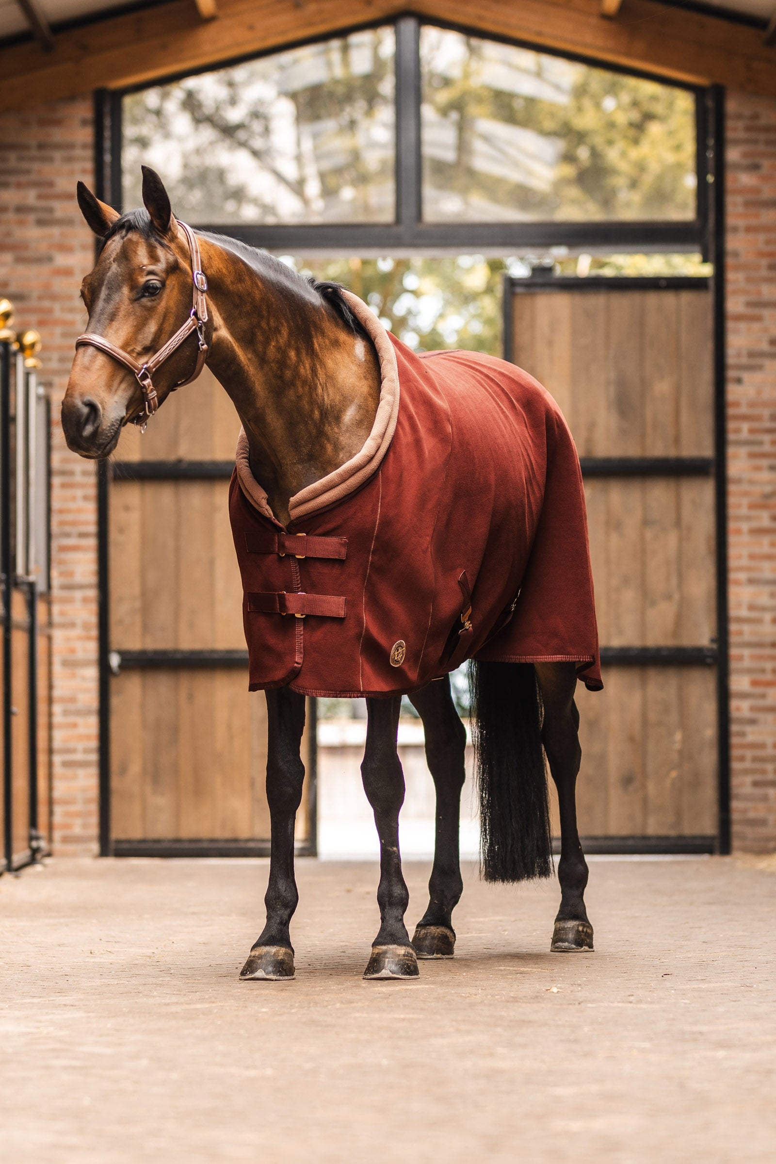 Horze Terrazzo Double Bonded Fleece Cooler Horse Rugs
