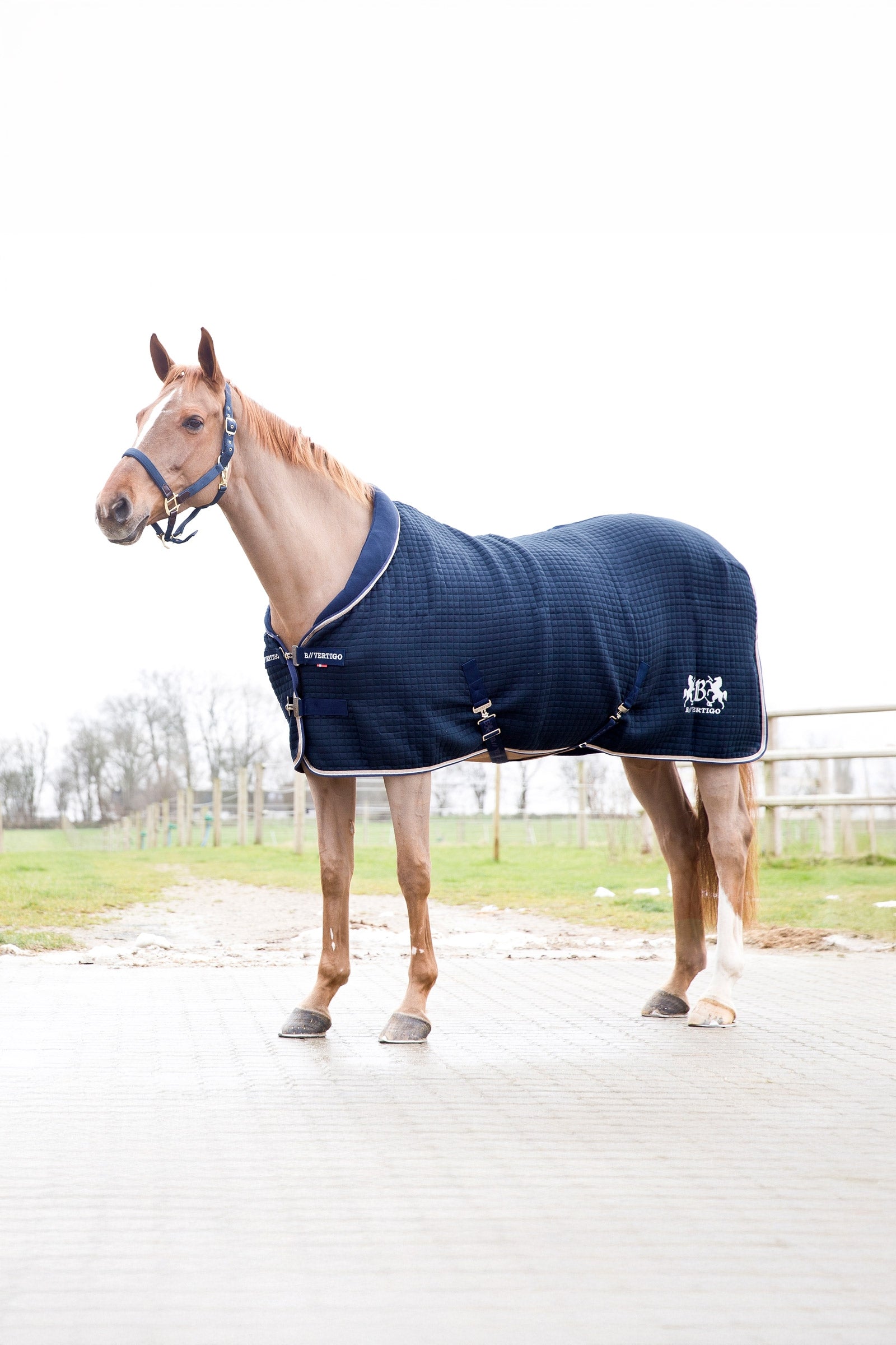 B Vertigo Theo Thermo Rug Horse Rugs
