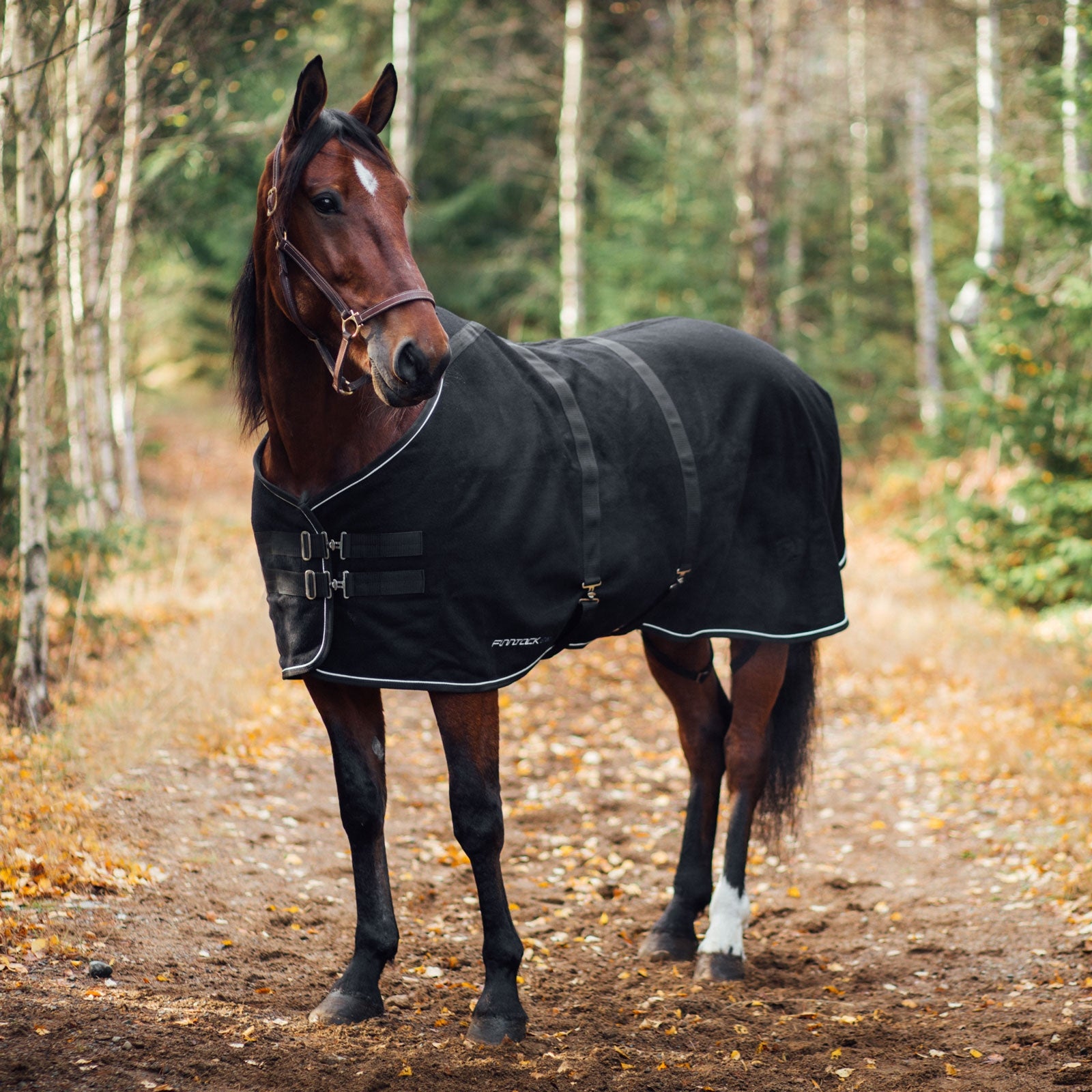 Finntack Nevera Elite de lana Mantas Caballo