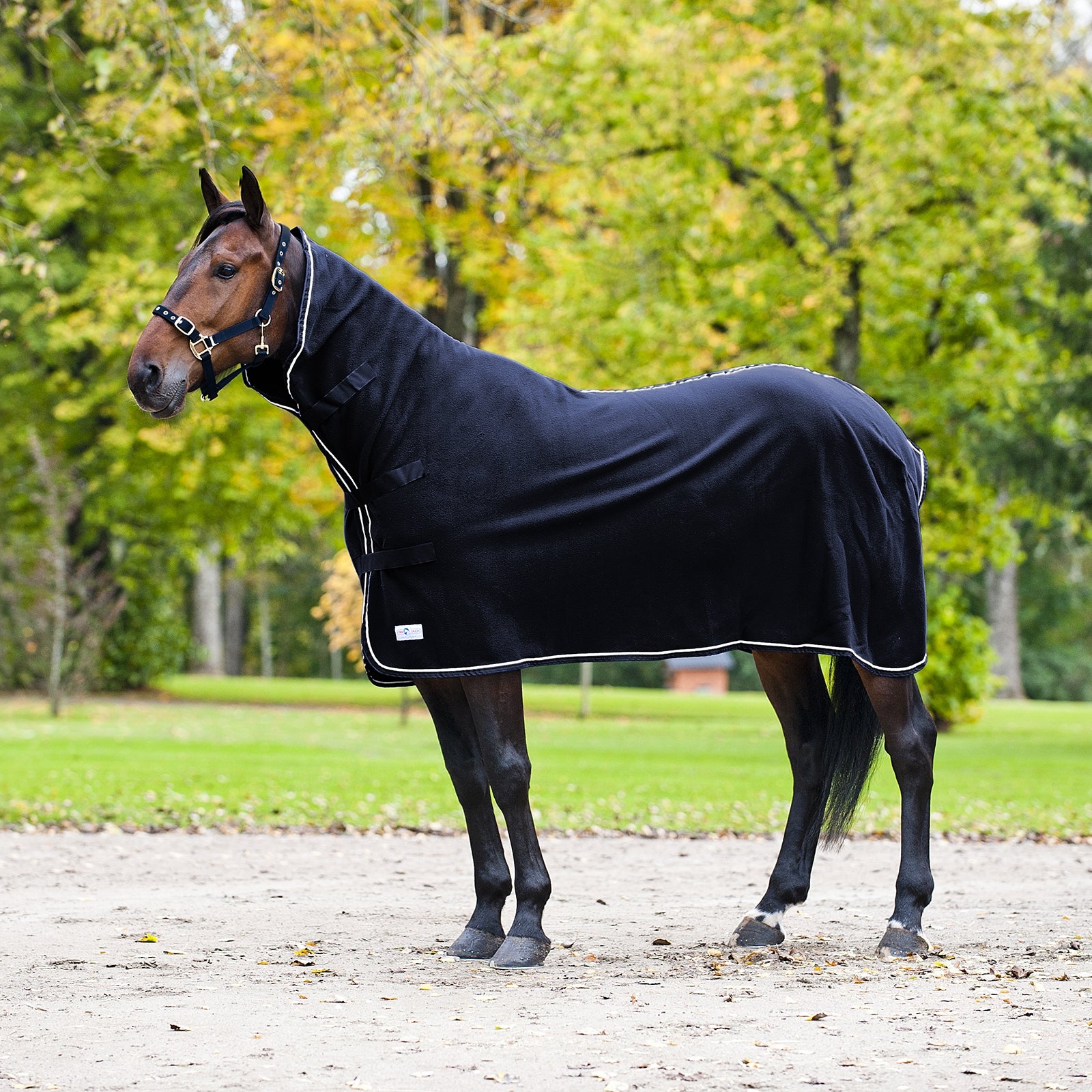 Finntack High Neck cooler rug II Mantas Caballo