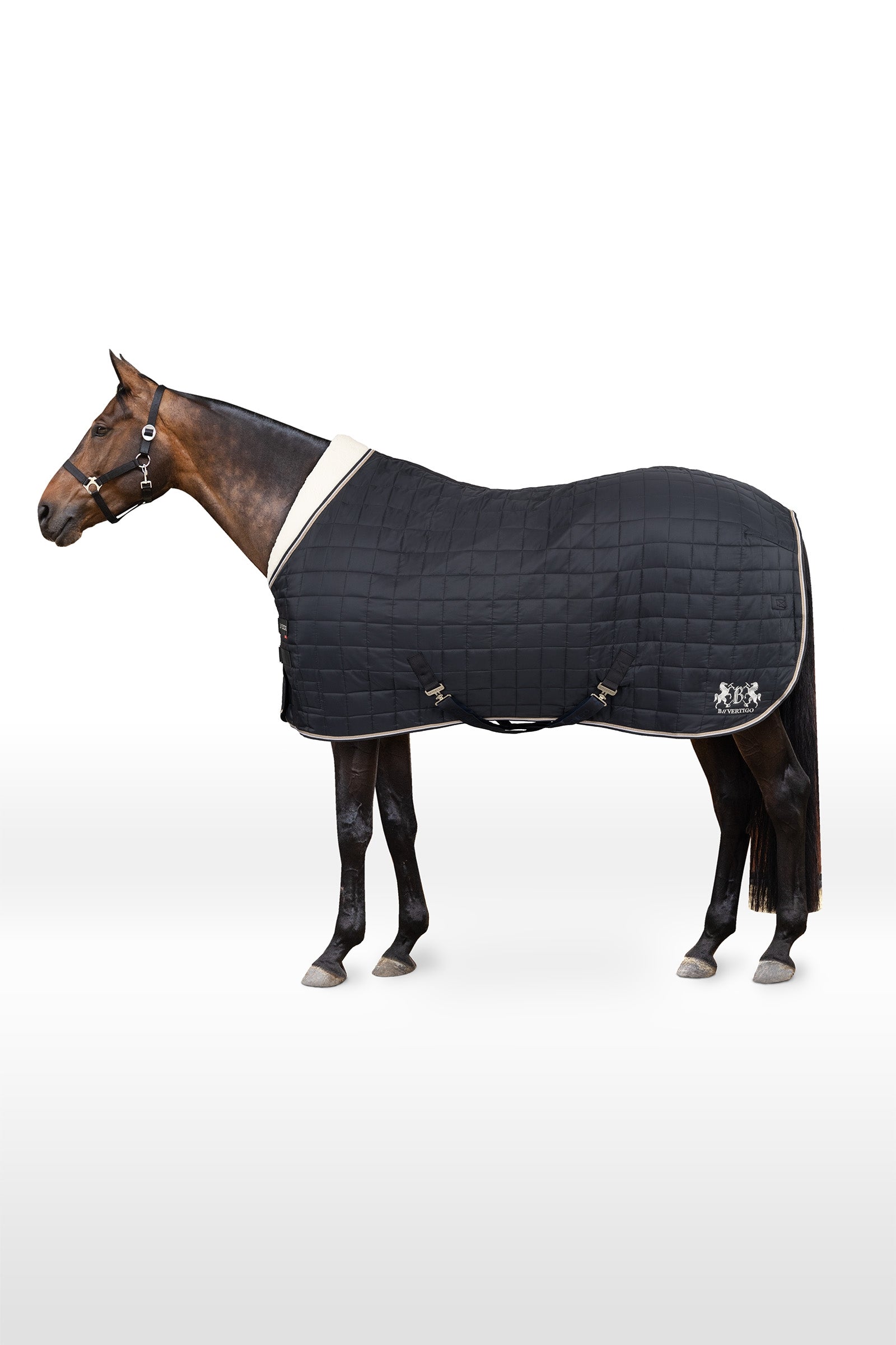 B Vertigo Theo Stable Rug, 150g Horse Rugs
