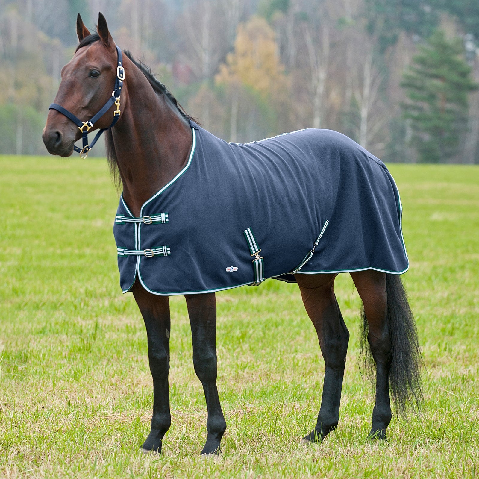 Finntack Manta polar Cuddle Mantas Caballo