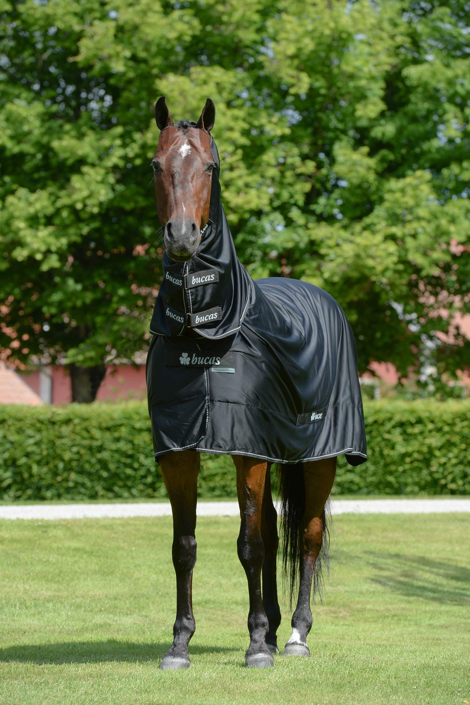 Bucas Shamrock Power manta con cubrecuello Mantas Caballo