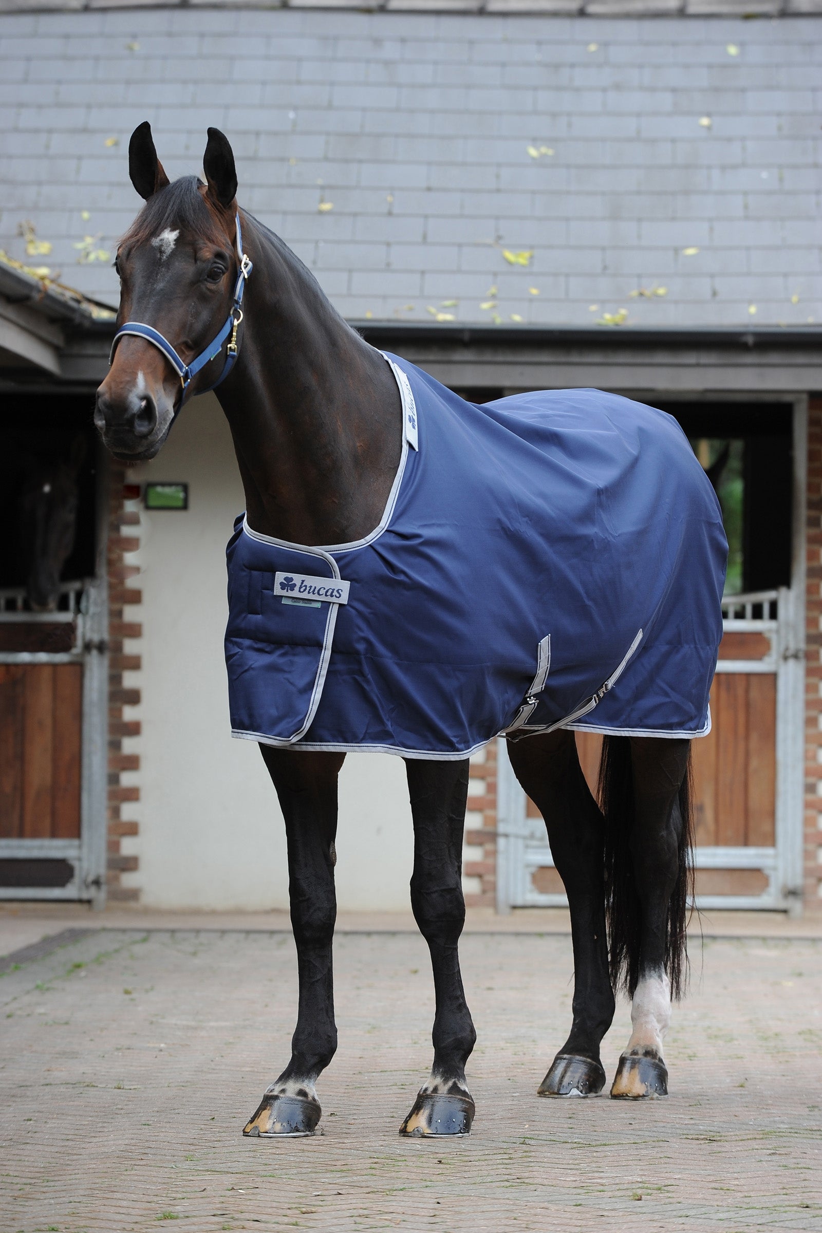 Bucas Manta de Cuadra Celtic Extra Mantas Caballo