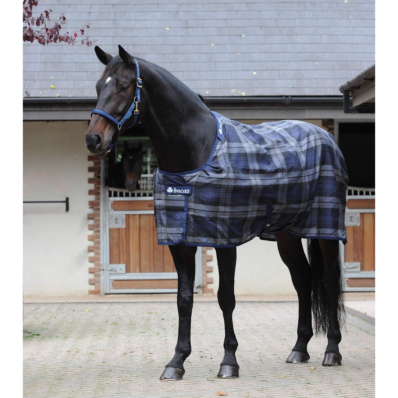 Bucas Manta de Cuadra Celtic Extra Mantas Caballo