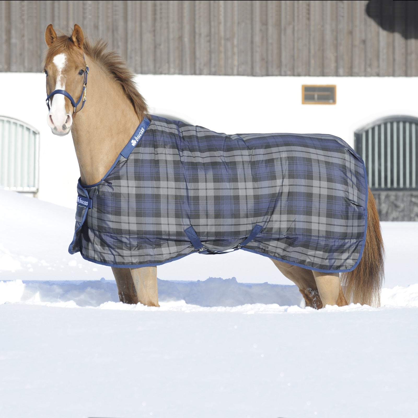 Bucas Manta de Cuadra Celtic Light Mantas Caballo
