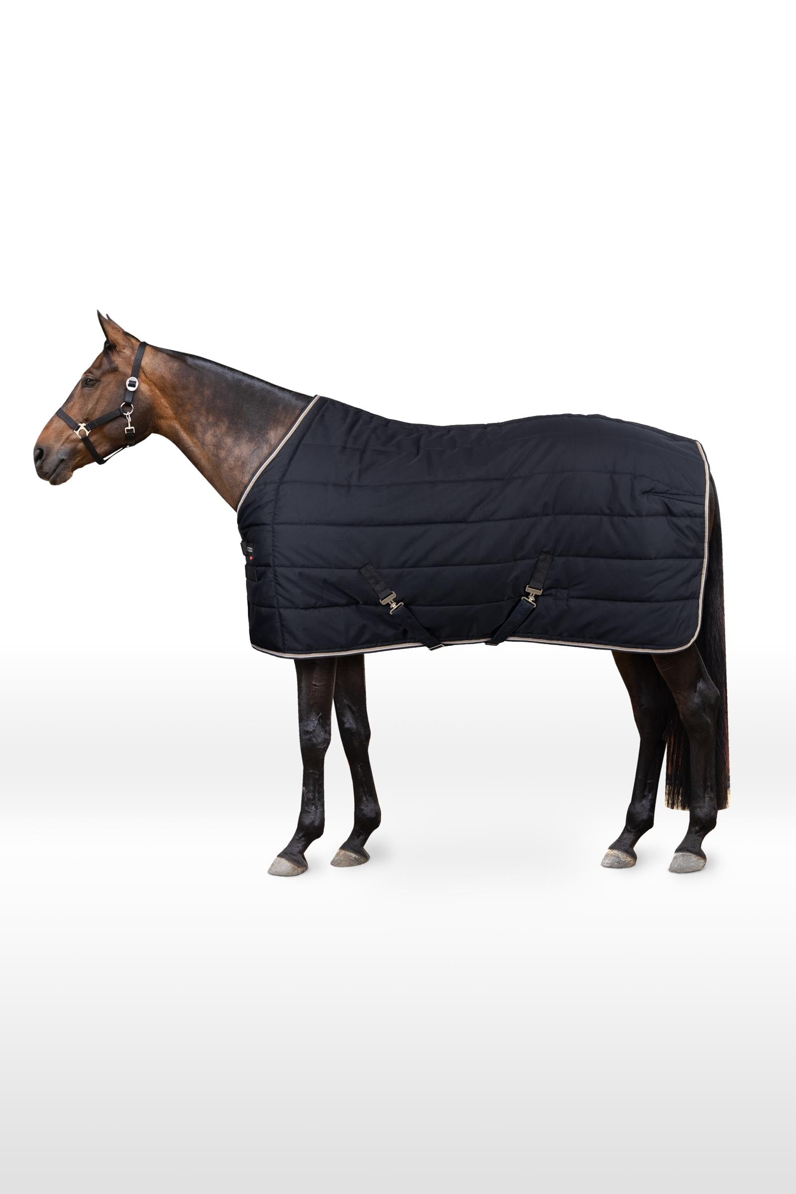 B Vertigo Manta de Cuadra Corey, 250g Mantas Caballo