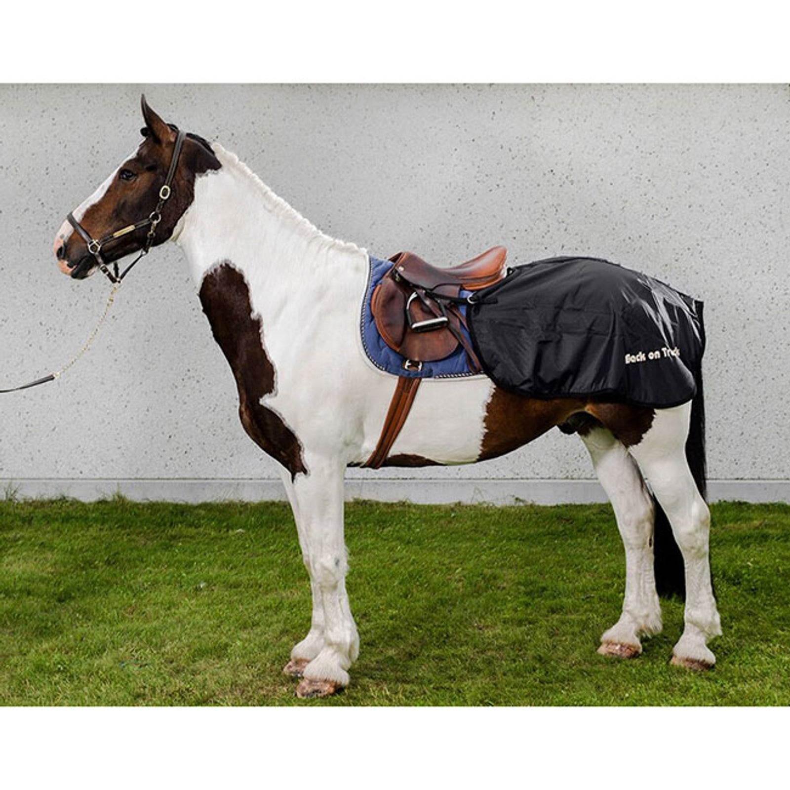 Back on Track Manta Riñonera Back on Track Mantas Caballo