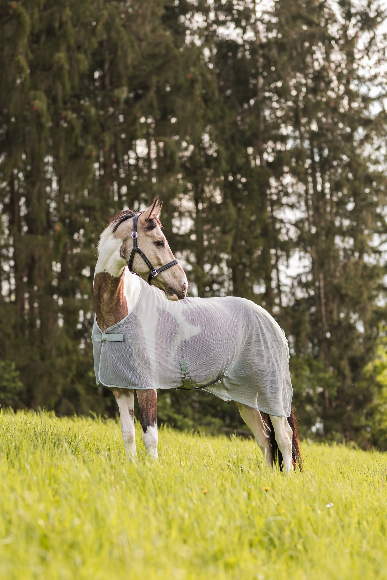 Horze Orleans Fly Rug Horse Rugs