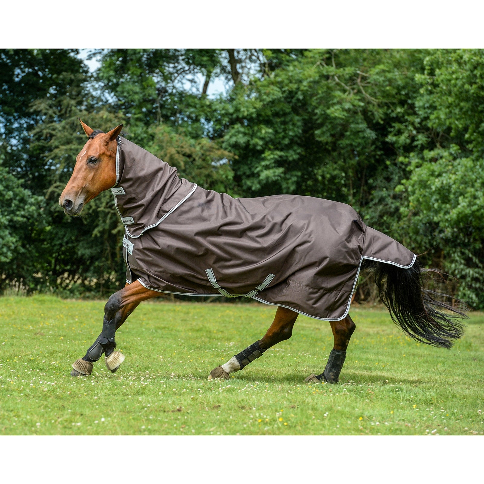 Bucas Smartex Cubre Cuello, 0 g Mantas Caballo