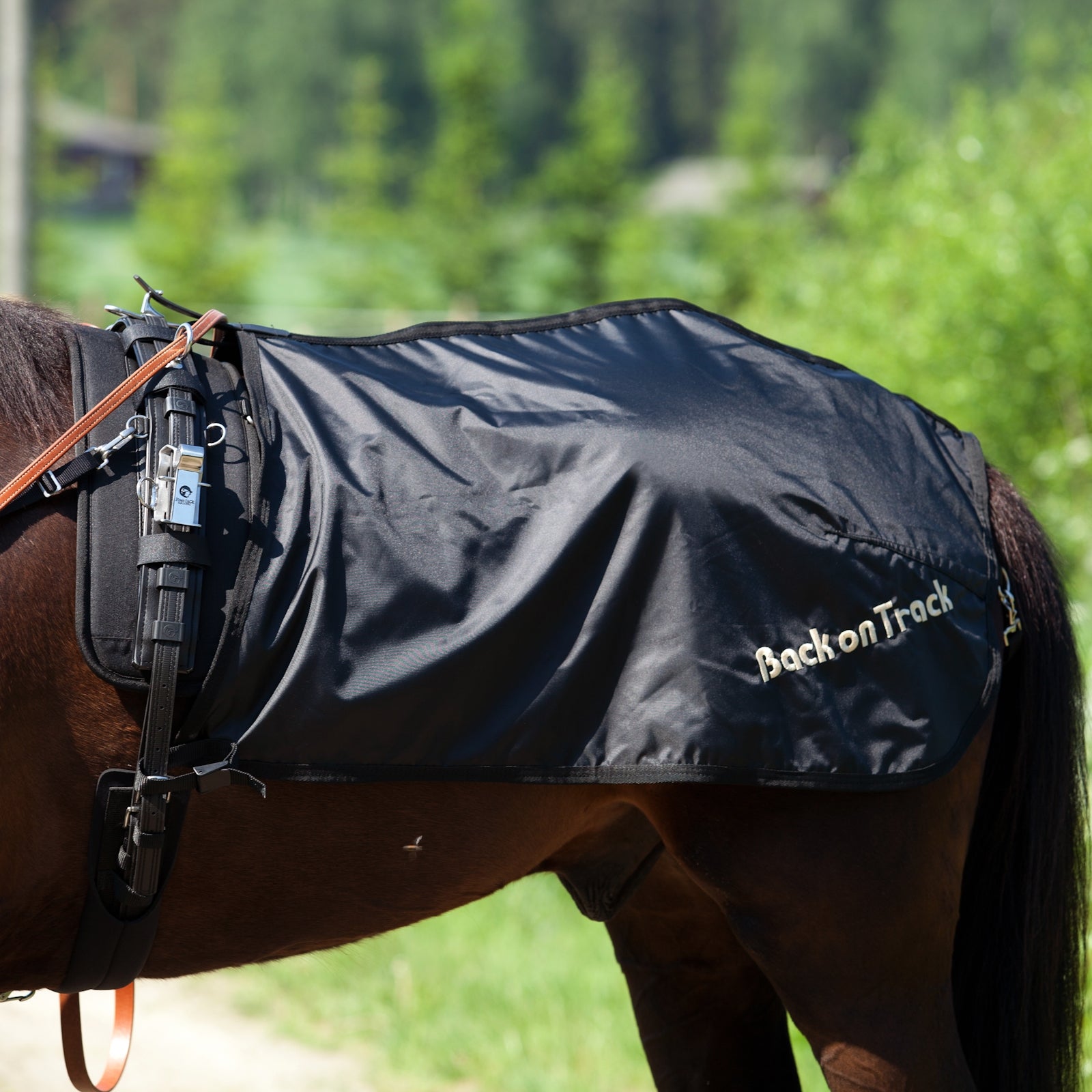 Back on Track Trotting Quarter Sheet, Swedish Model Horse Rugs