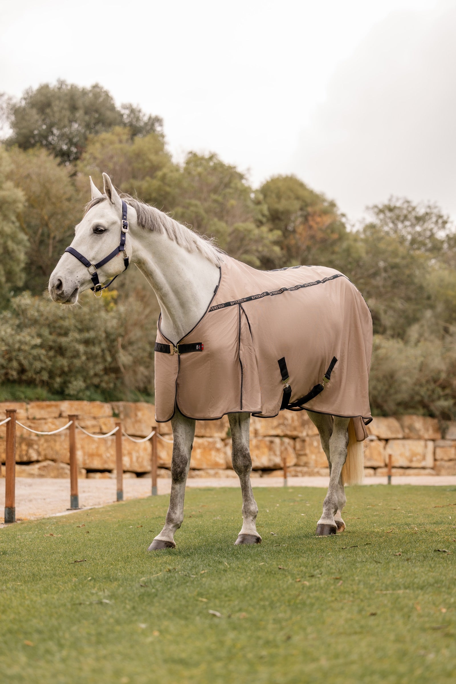 B Vertigo Combo Fly Rug with Detachable Neck and UV Protection Horse Rugs