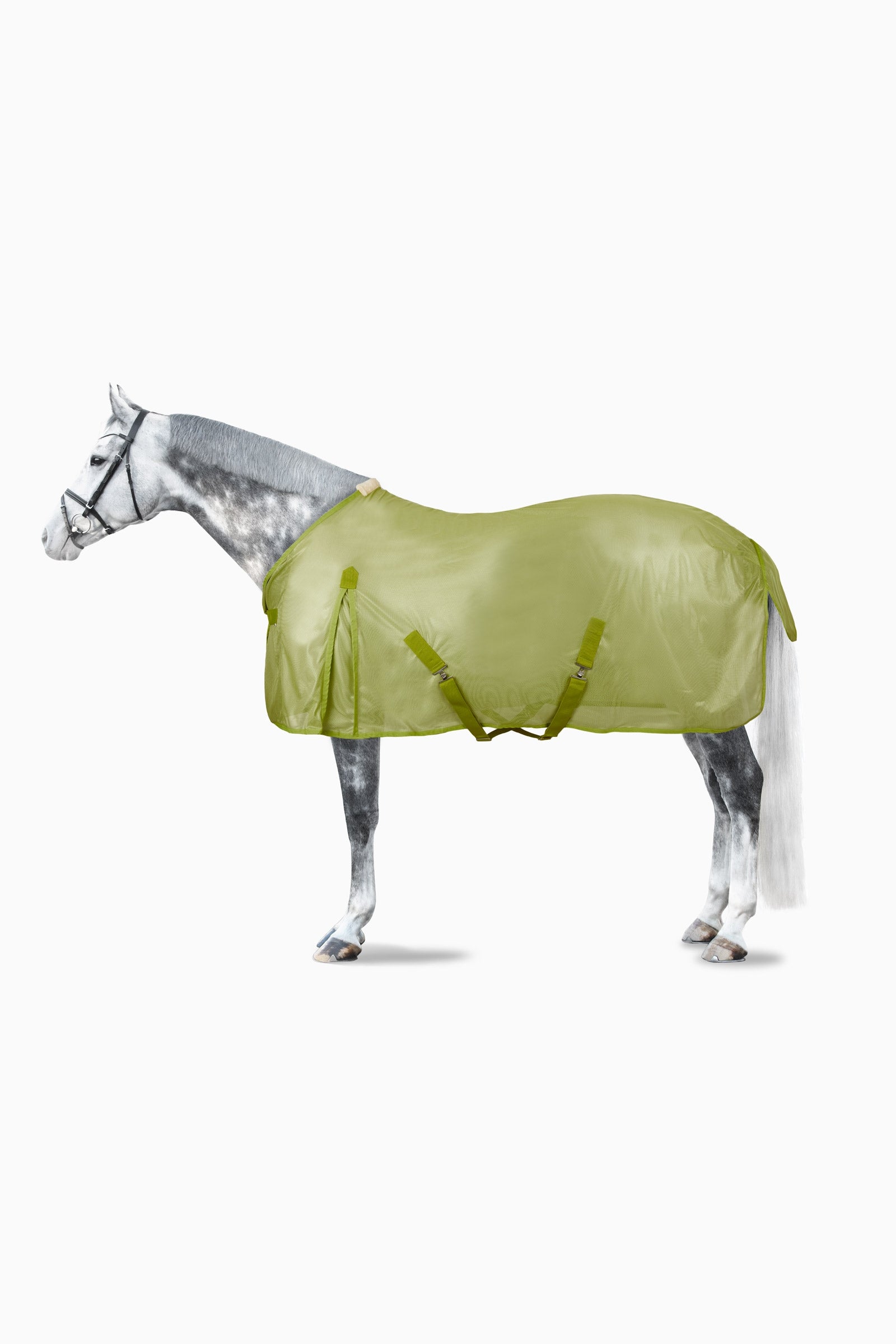 Horze Colourful Fly Rug Horse Rugs