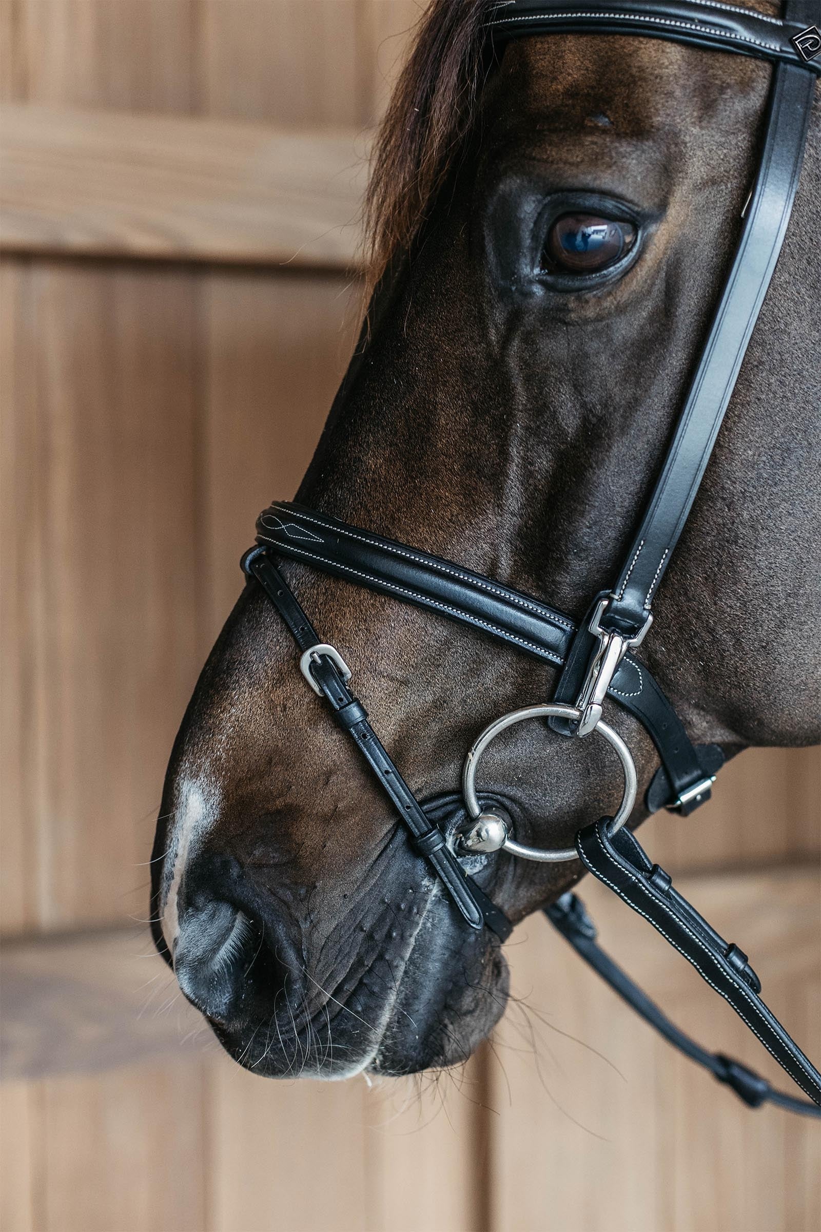 Dy'on Working Training Bridle Bridles & Reins
