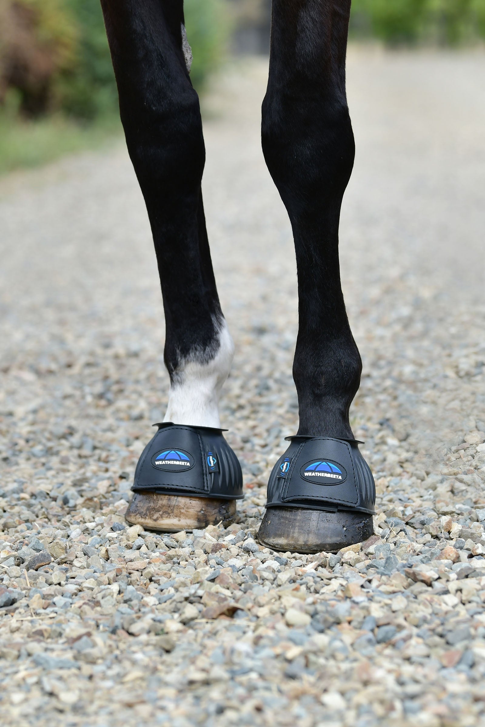 Weatherbeeta Tough-Tec Prime Rubber Bell Boots Leg & Hoof Protection