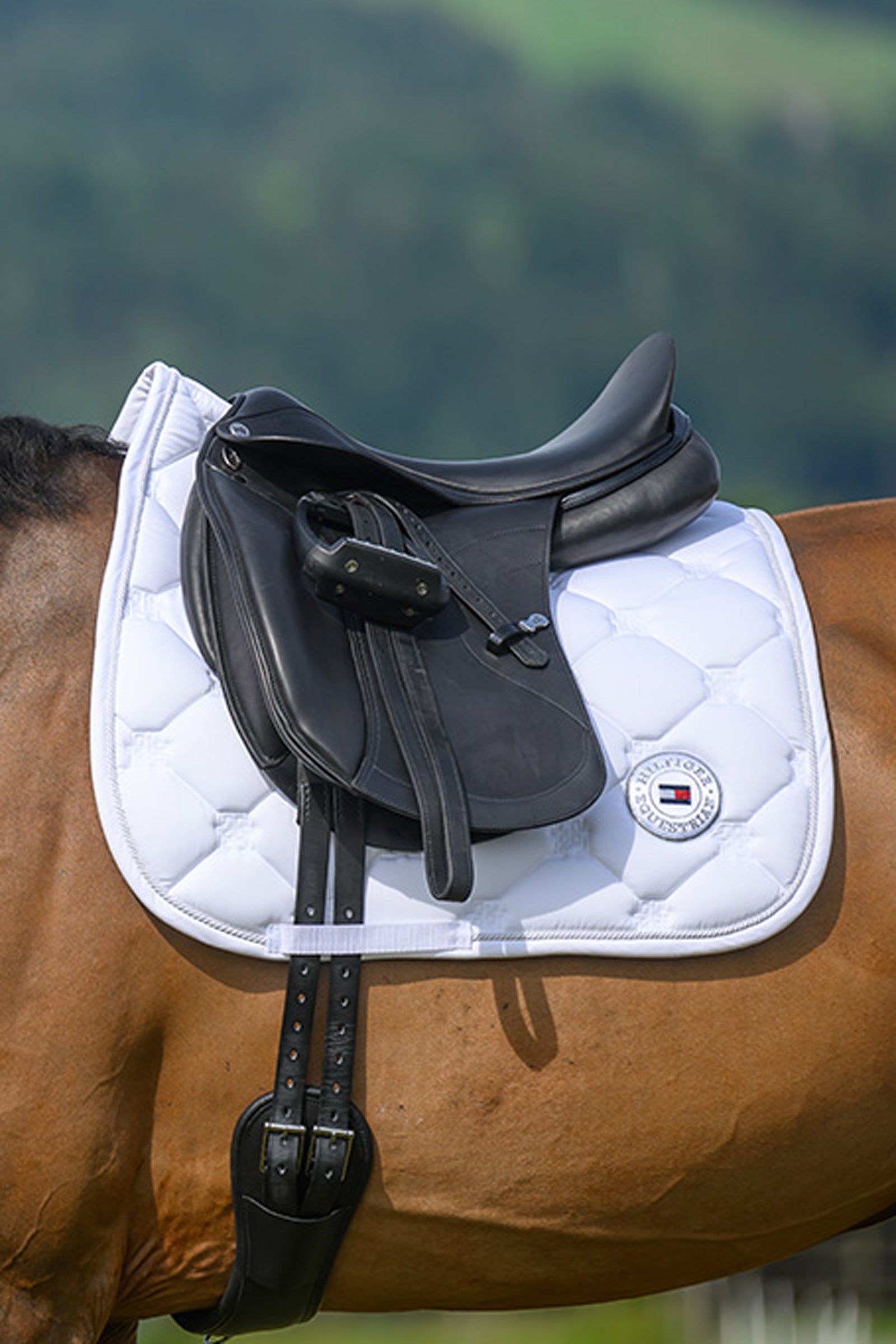 Tommy Hilfiger Equestrian Liberty Dressage Saddle Pad Saddle Pads