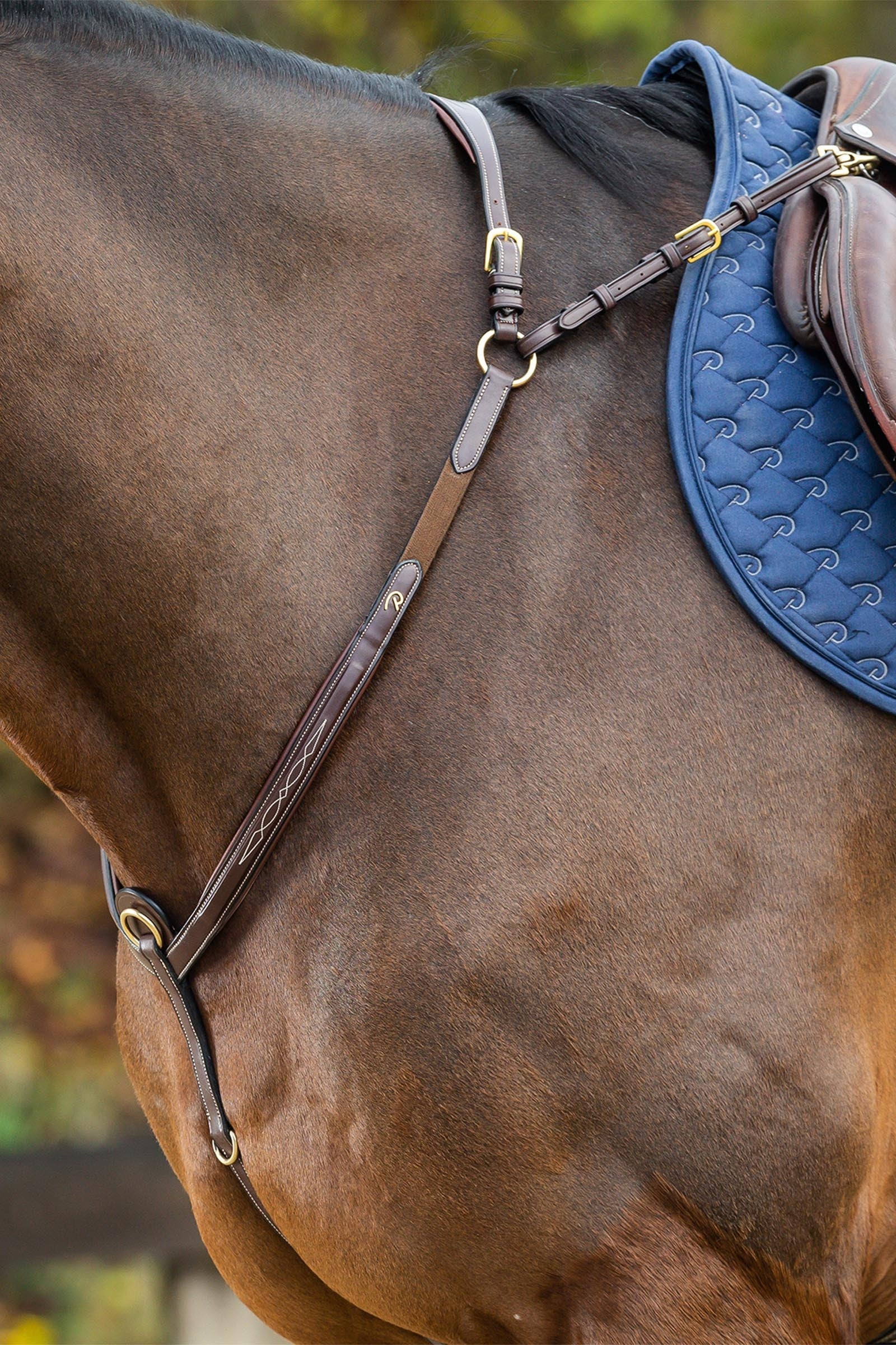 Dy'on D Collection pechopetral con puente Cabezadas de montar & Riendas