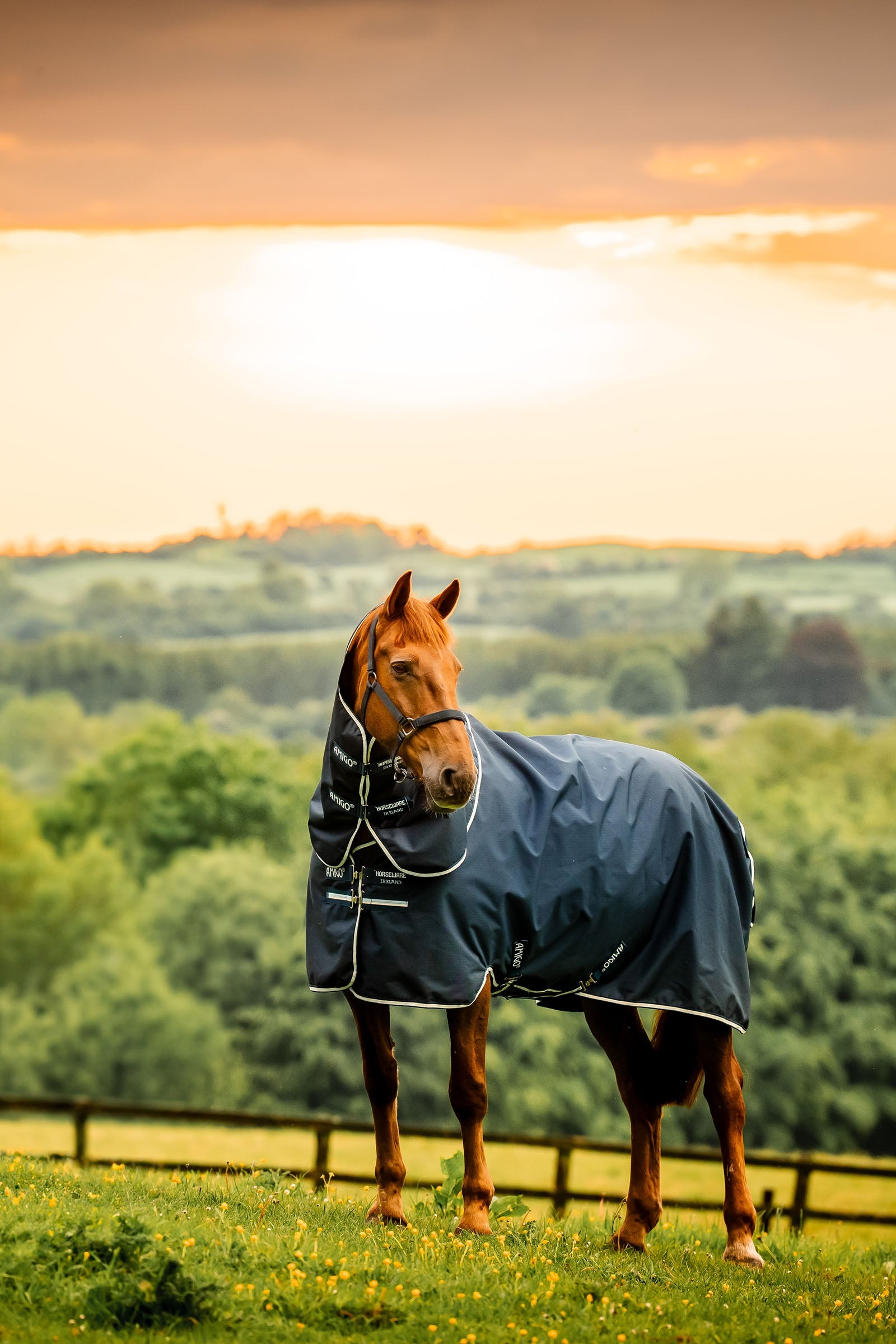 Horseware Amigo Ripstop 900D Plus manta de exterior con cuello desmontable, 100 g Mantas Caballo