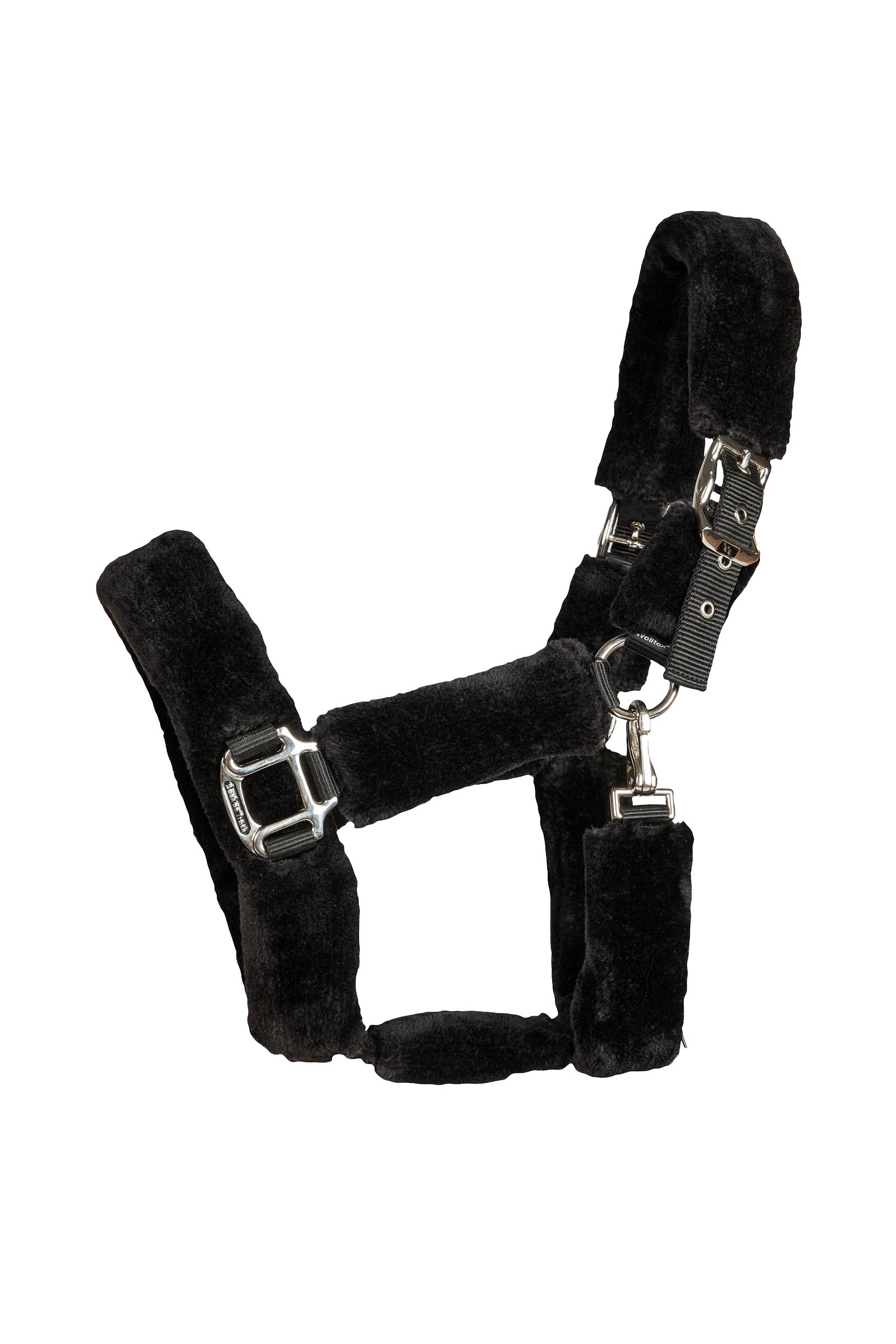 Back on Track Audrey cabezada de cuadra Cabezadas de cuadra & Ramales