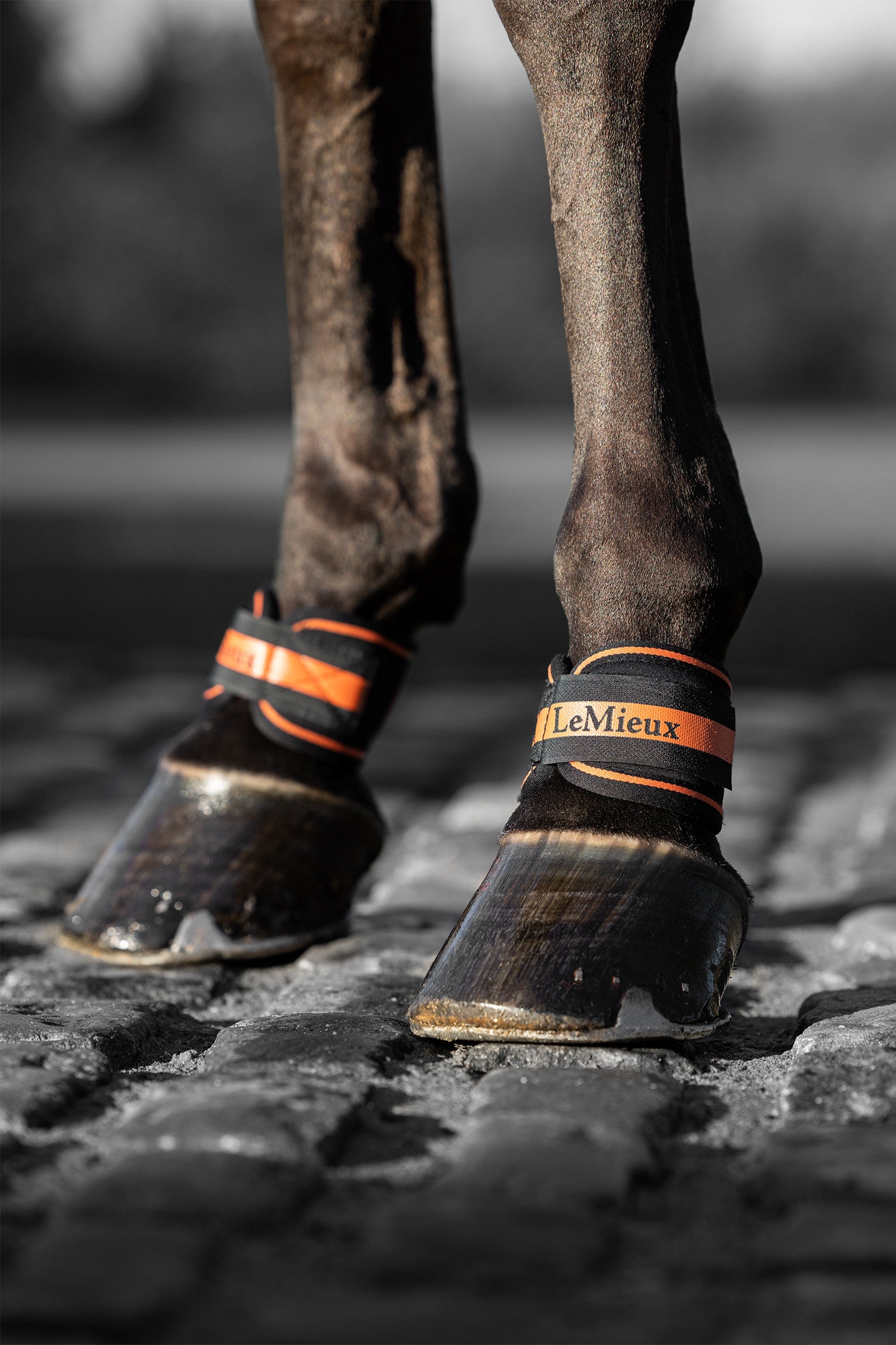 LeMieux Protector de Cuartilla Magno