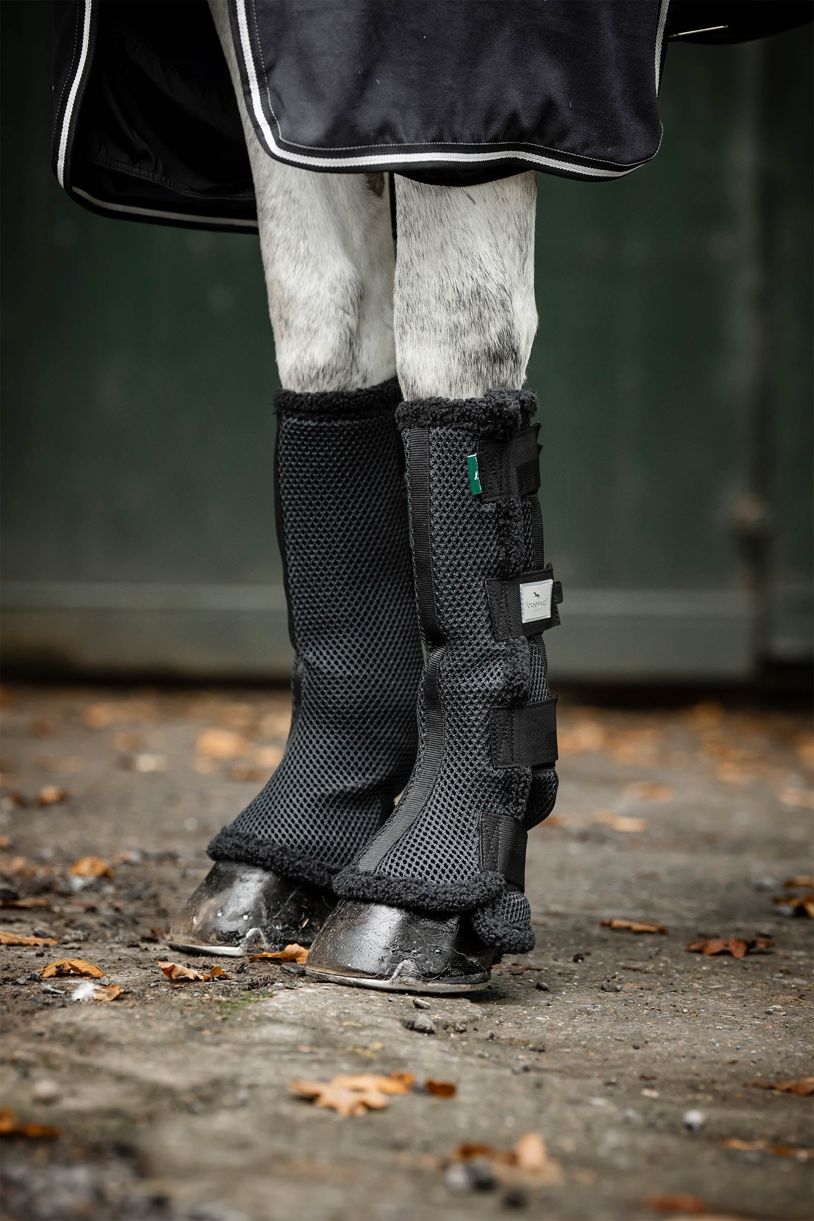 Horseware Show Ready vendas Leg Protection & Hoof Protection for Horses
