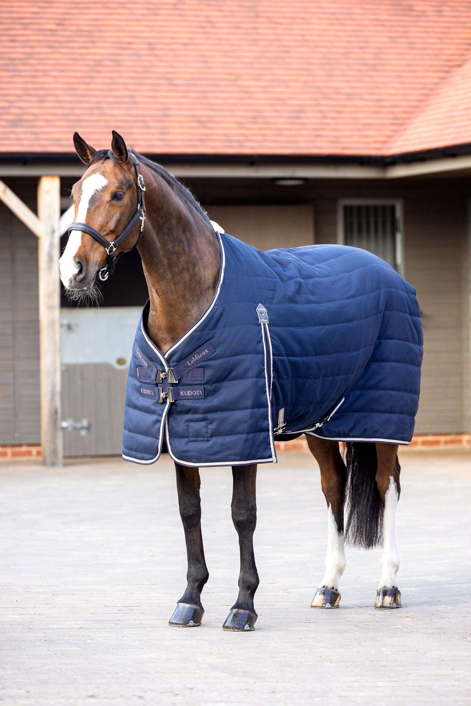 LeMieux Kudos Stable Rug, 100g Mantas Caballo