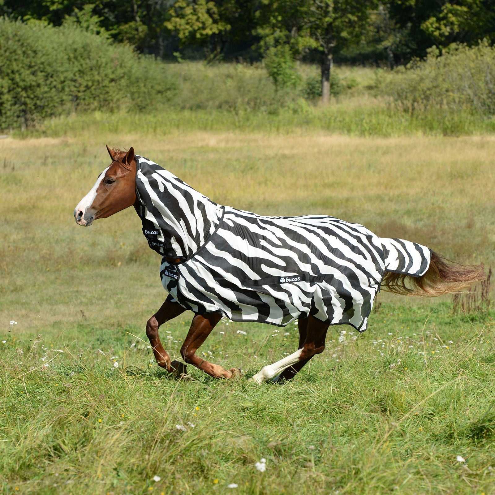 Bucas Manta Anti-Moscas con Cubre Cuello Completo con Cuello fijo Buzz-Off Zebra Mantas Caballo