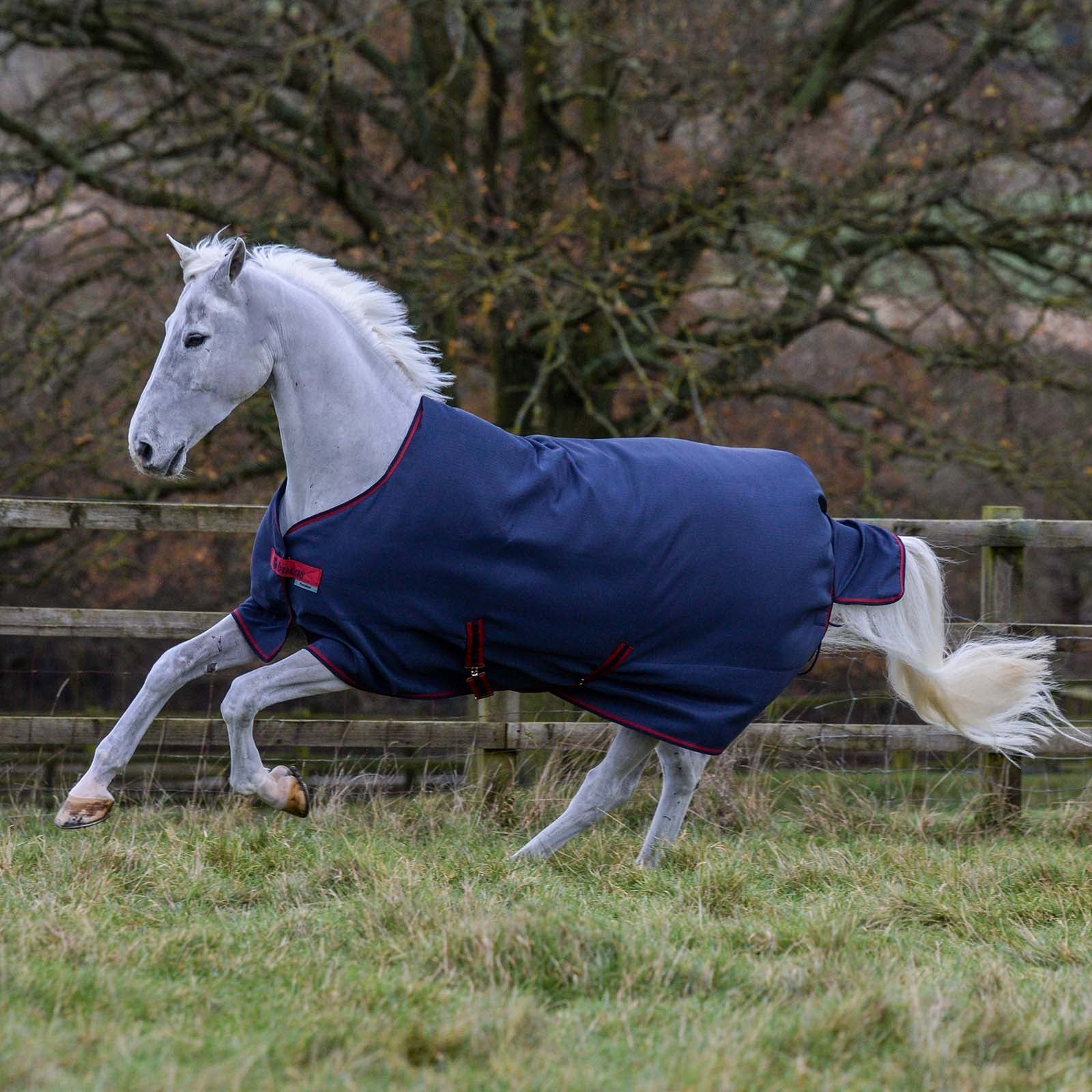 Bucas Freedom Manta de Exterior, 150g Mantas Caballo
