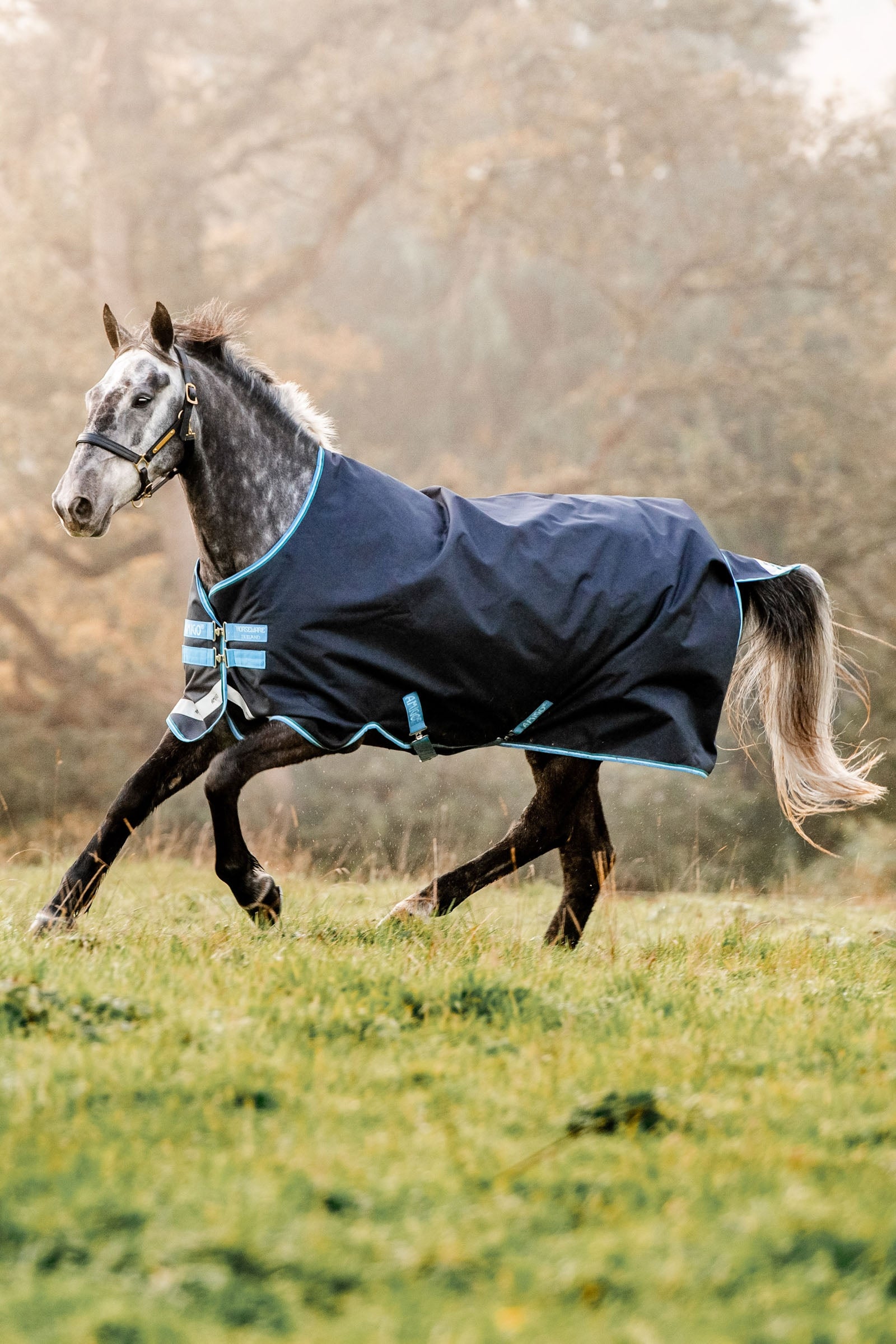 Horseware Amigo Bravo 12 Turnout Rug, 100g Horse Rugs