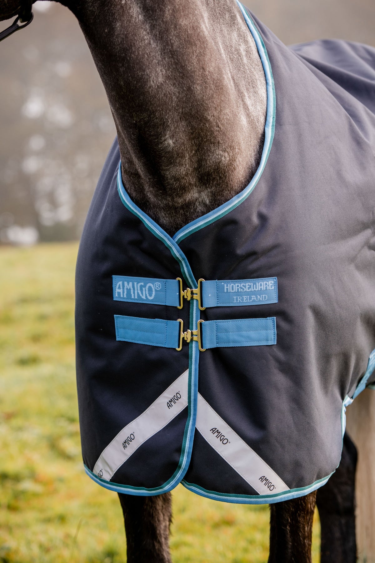 Horseware Amigo Bravo 12 Turnout Rug, 100g Horse Rugs