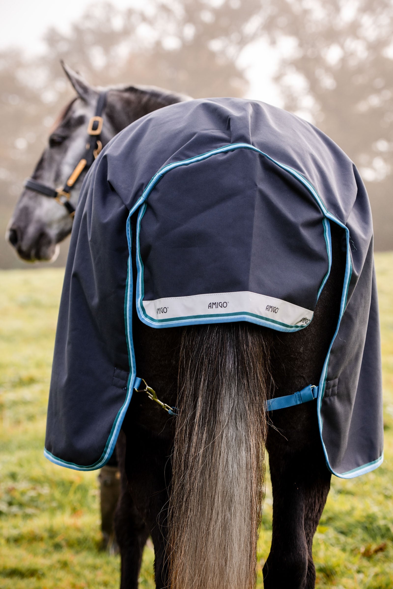 Horseware Amigo Bravo 12 Turnout Rug, 100g Horse Rugs