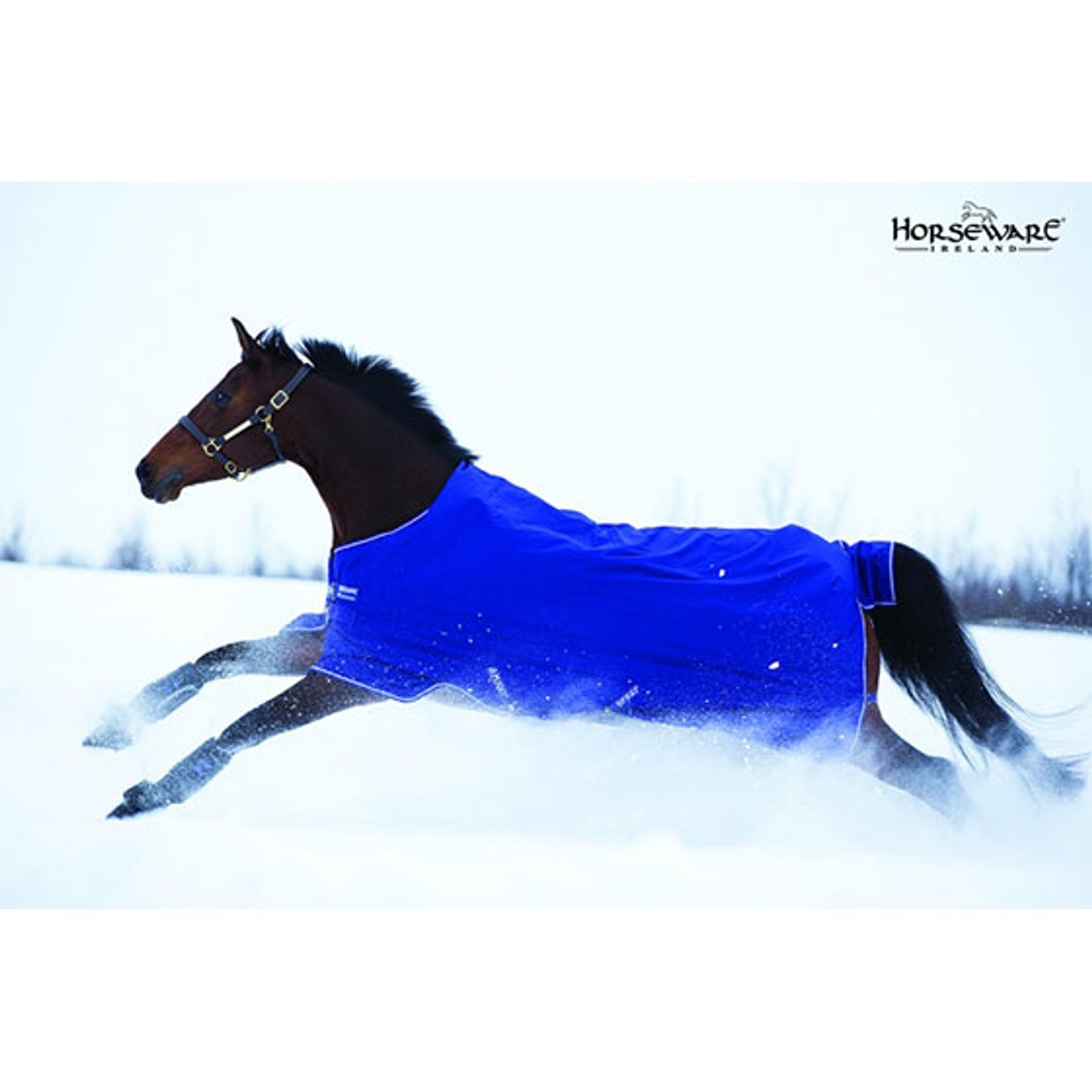 Horseware Amigo Hero-6 Lite, 0g Mantas Caballo