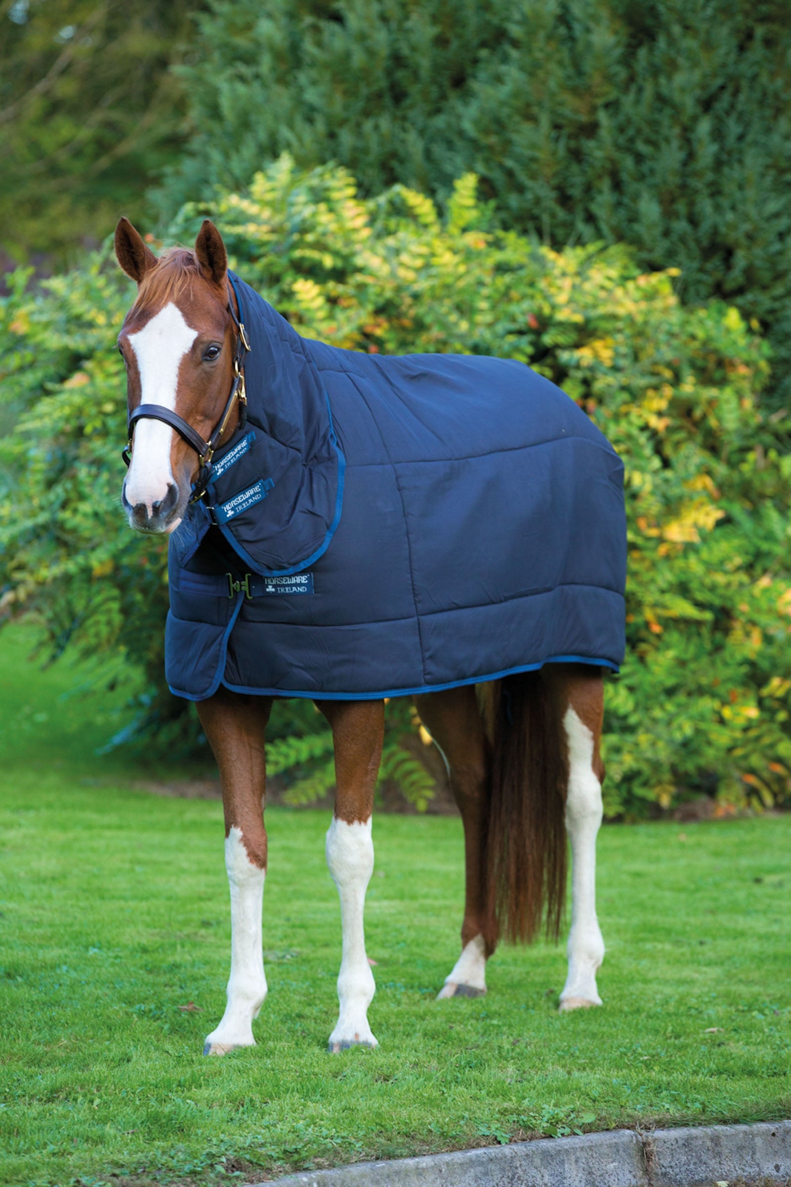 Horseware Manta inferior Plus con cuello fijo, 300 g Mantas Caballo