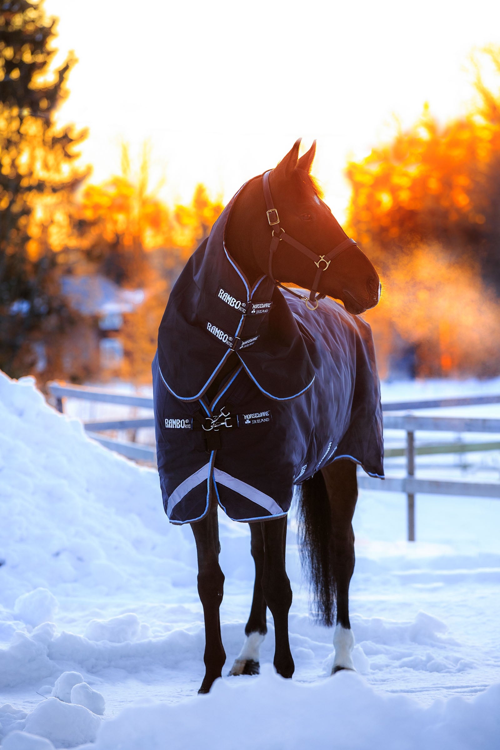 Horseware Rambo Duo Turnout Rug, 100 g con cuello desmontable y 100 g + 300 g Under Rug Mantas Caballo