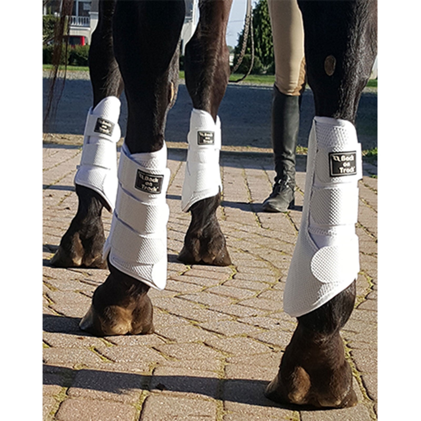 Back on Track Protectores Back on Track, L-XL Leg Protection & Hoof Protection for Horses