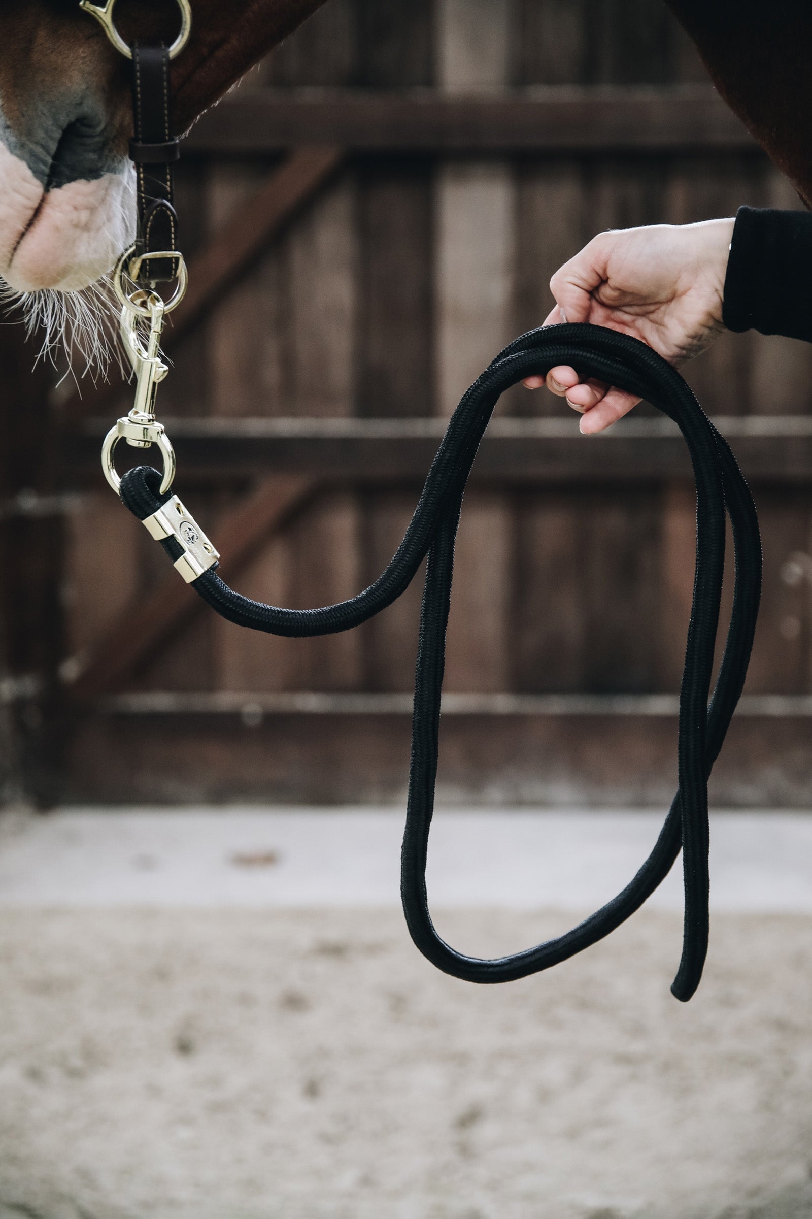 Kentucky Horsewear Basic Lead Rope 2m Halters & Leads