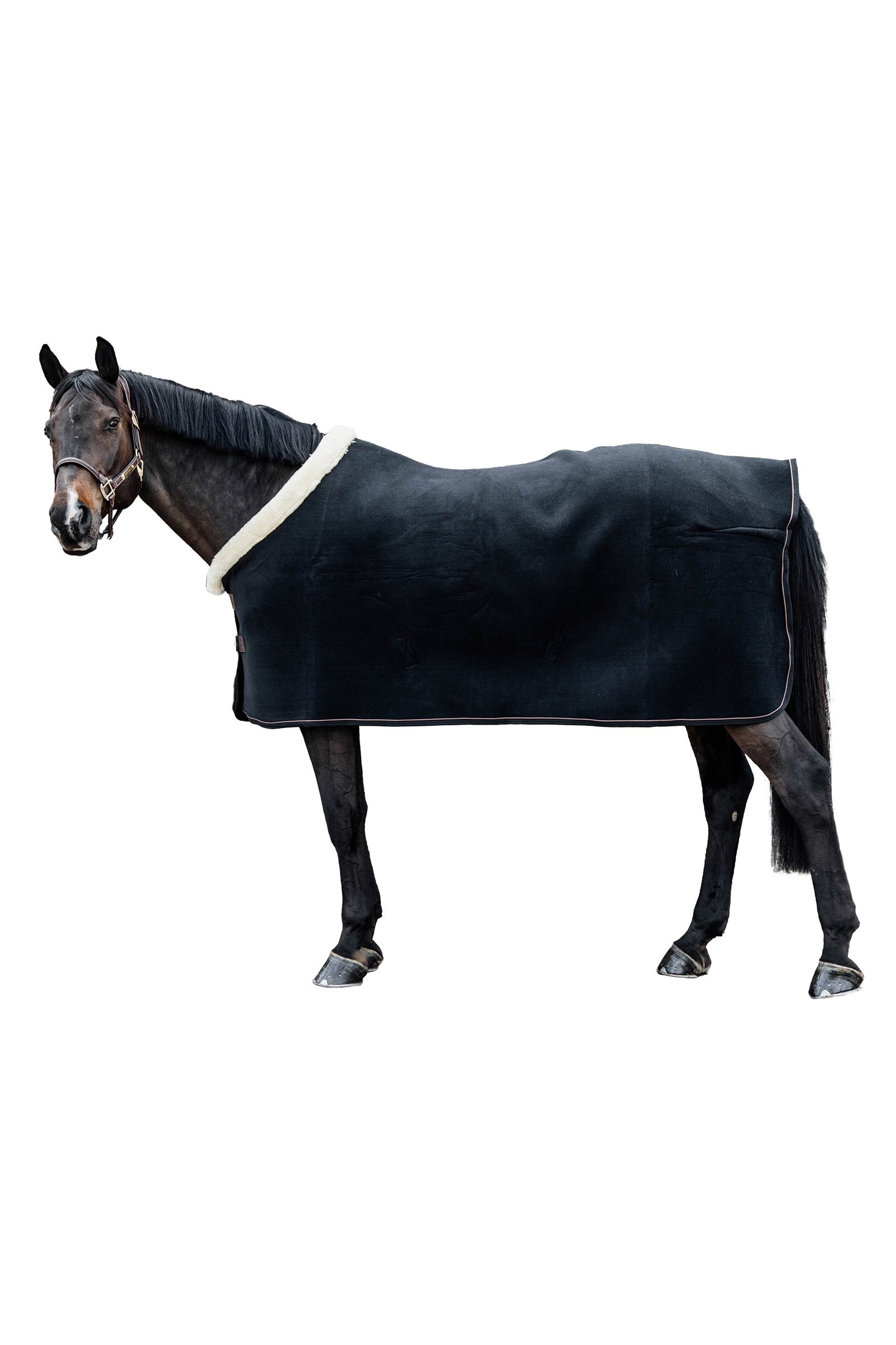 Kentucky Horsewear Fleece Show Rug Horse Rugs