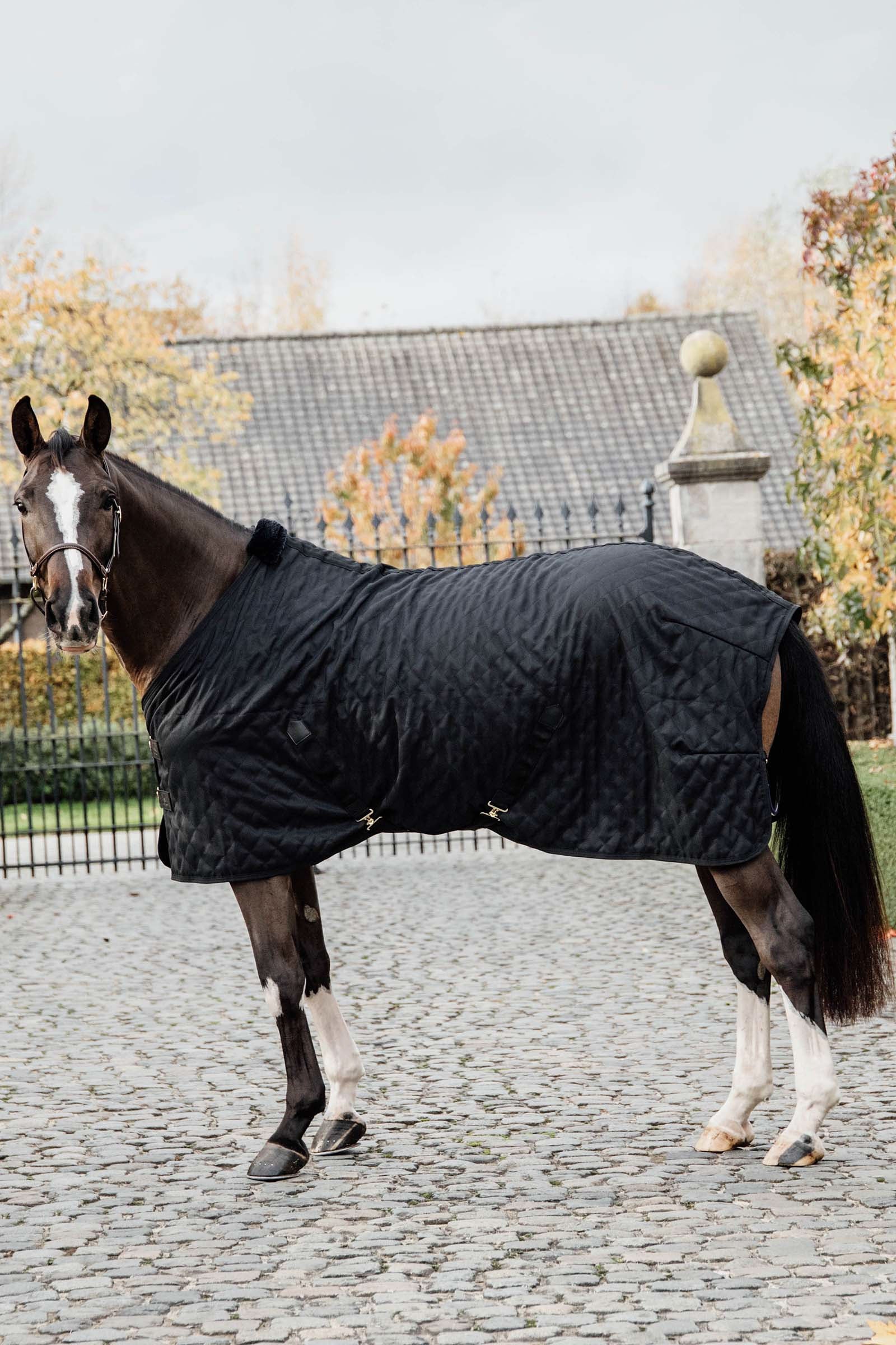 Kentucky Horsewear Manta de establo Kentucky Horsewear, 0g Mantas Caballo