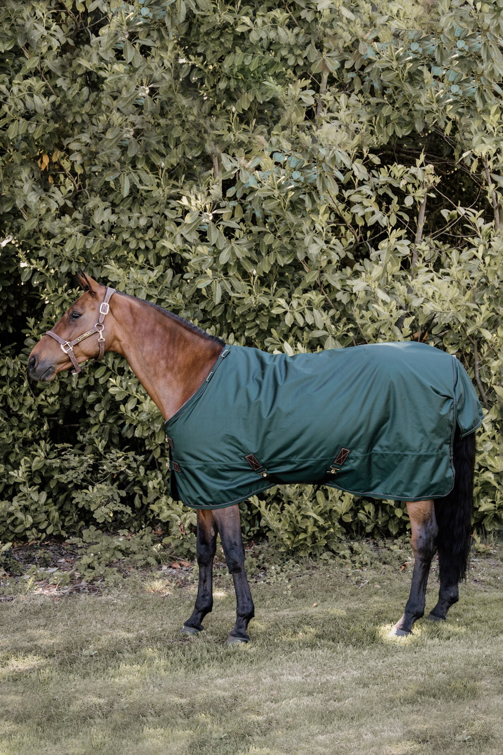 Kentucky Horsewear Manta de Exterior All Weather, 160g Mantas Caballo