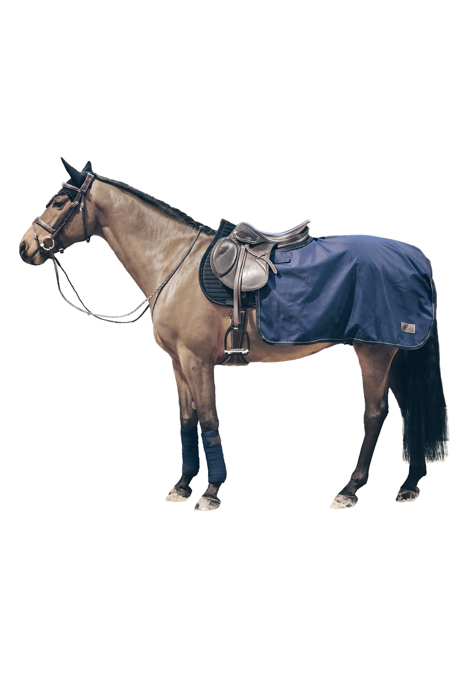 Kentucky Horsewear Hoja de ejercicios para todo clima , 160g Mantas Caballo