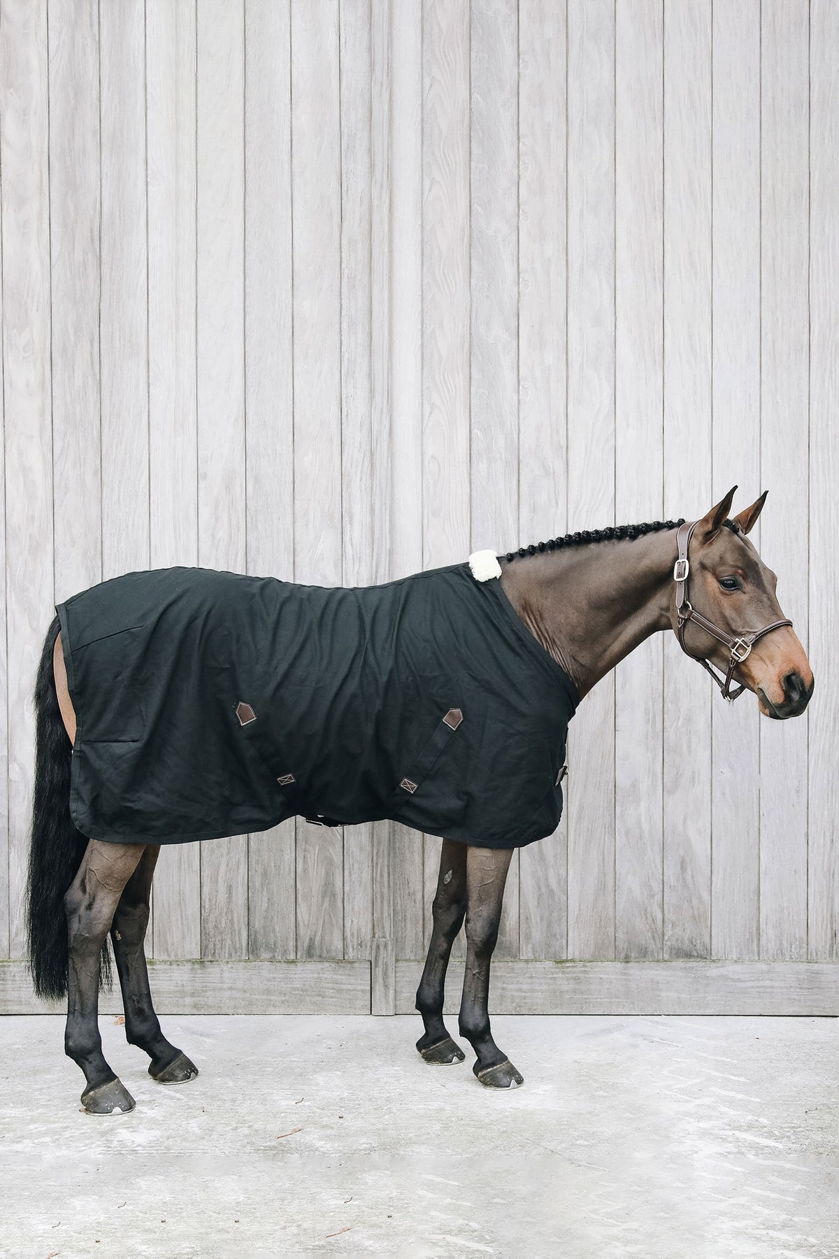 Kentucky Horsewear Refrigerador de algodón Kentucky Horsewear Mantas Caballo