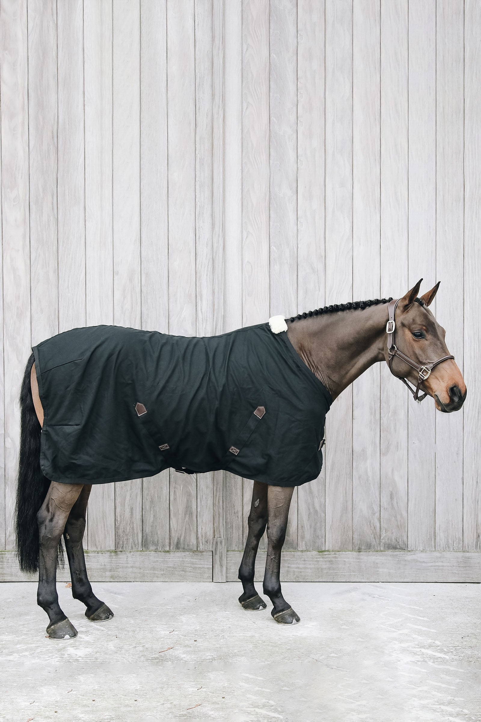 Kentucky Horsewear Refrigerador de algodón Kentucky Horsewear Mantas Caballo