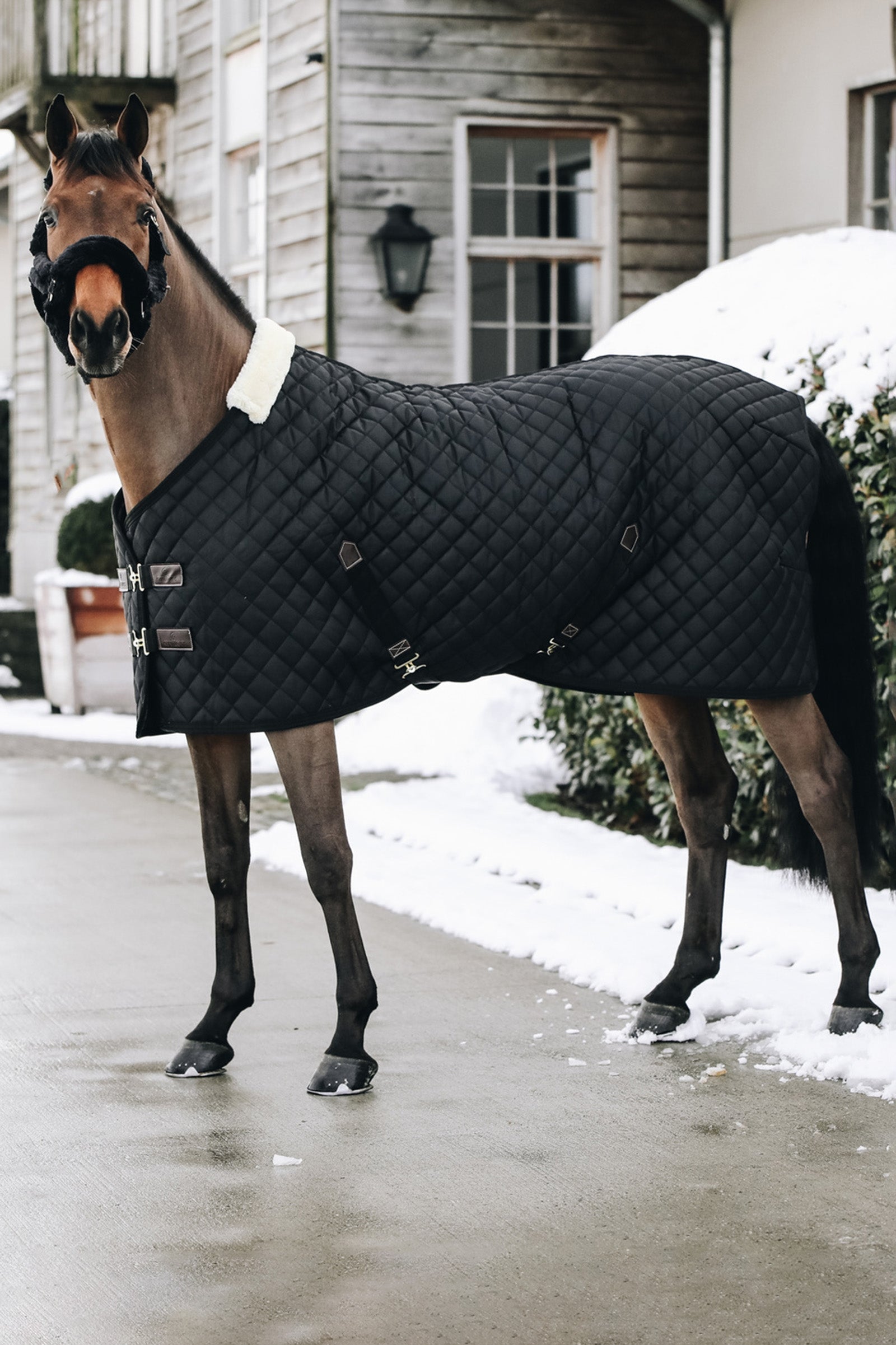 Kentucky Horsewear Manta de Cuadra Kentucky Horsewear, 400g Mantas Caballo