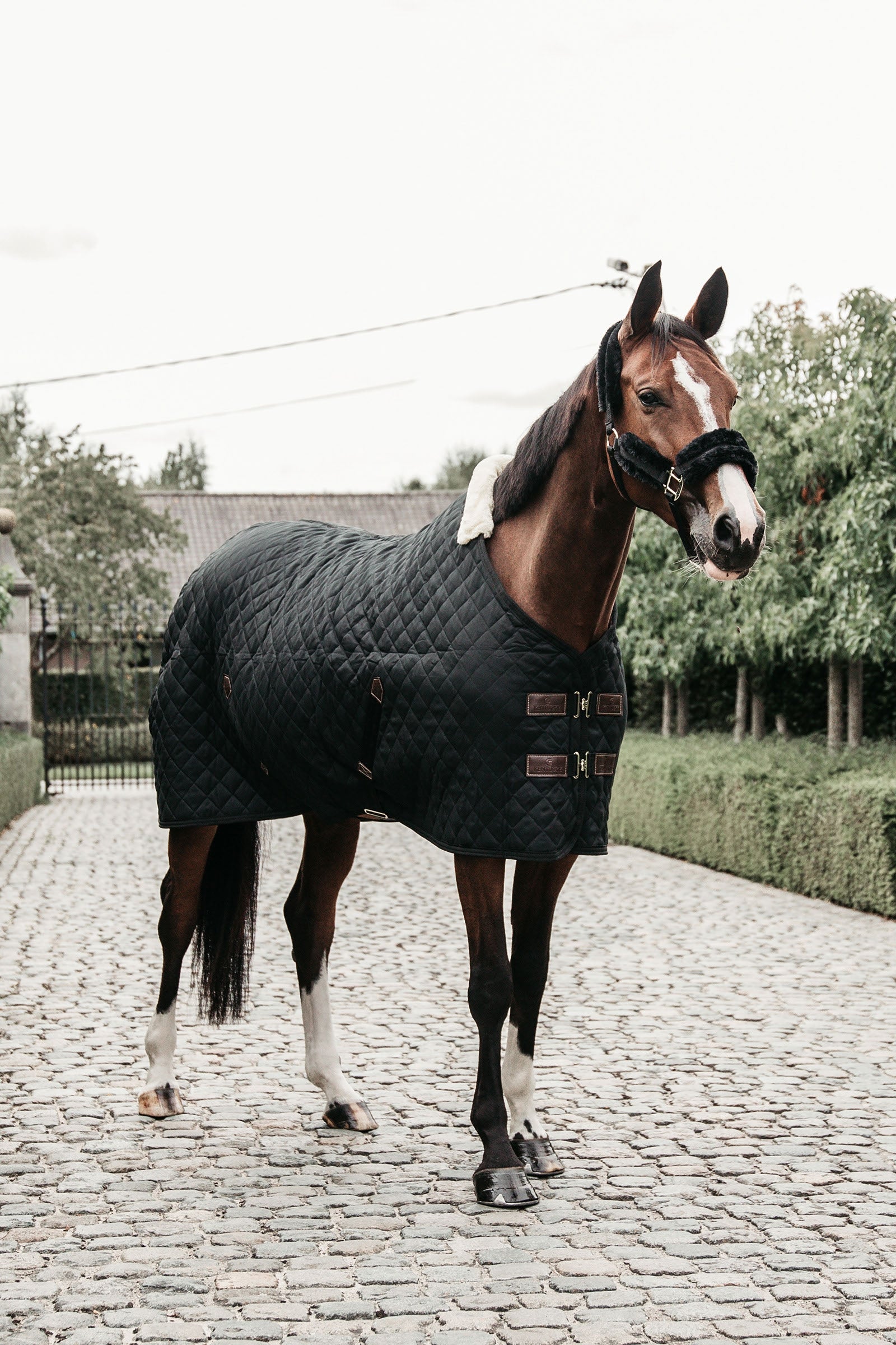 Kentucky Horsewear Manta de Cuadra Kentucky Horsewear, 400g Mantas Caballo