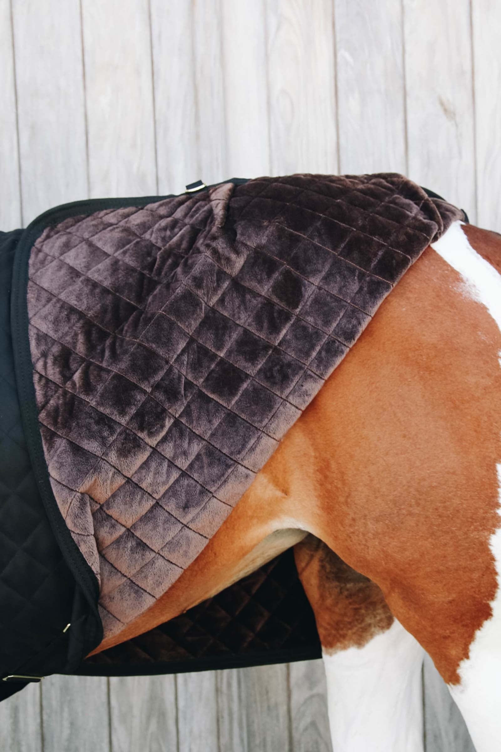 Kentucky Horsewear Show rug 160g Horse Rugs